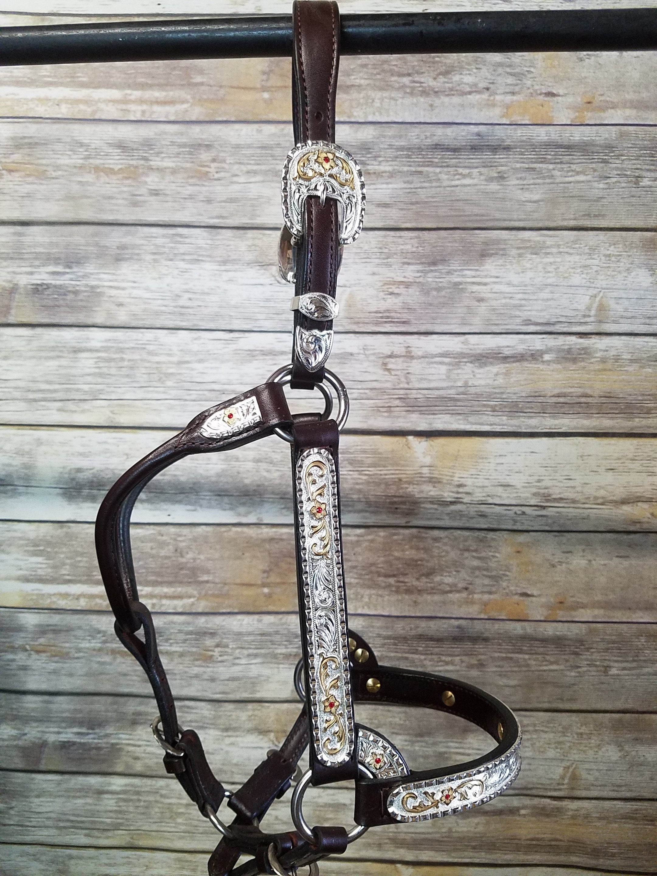 #310 Santana Halter