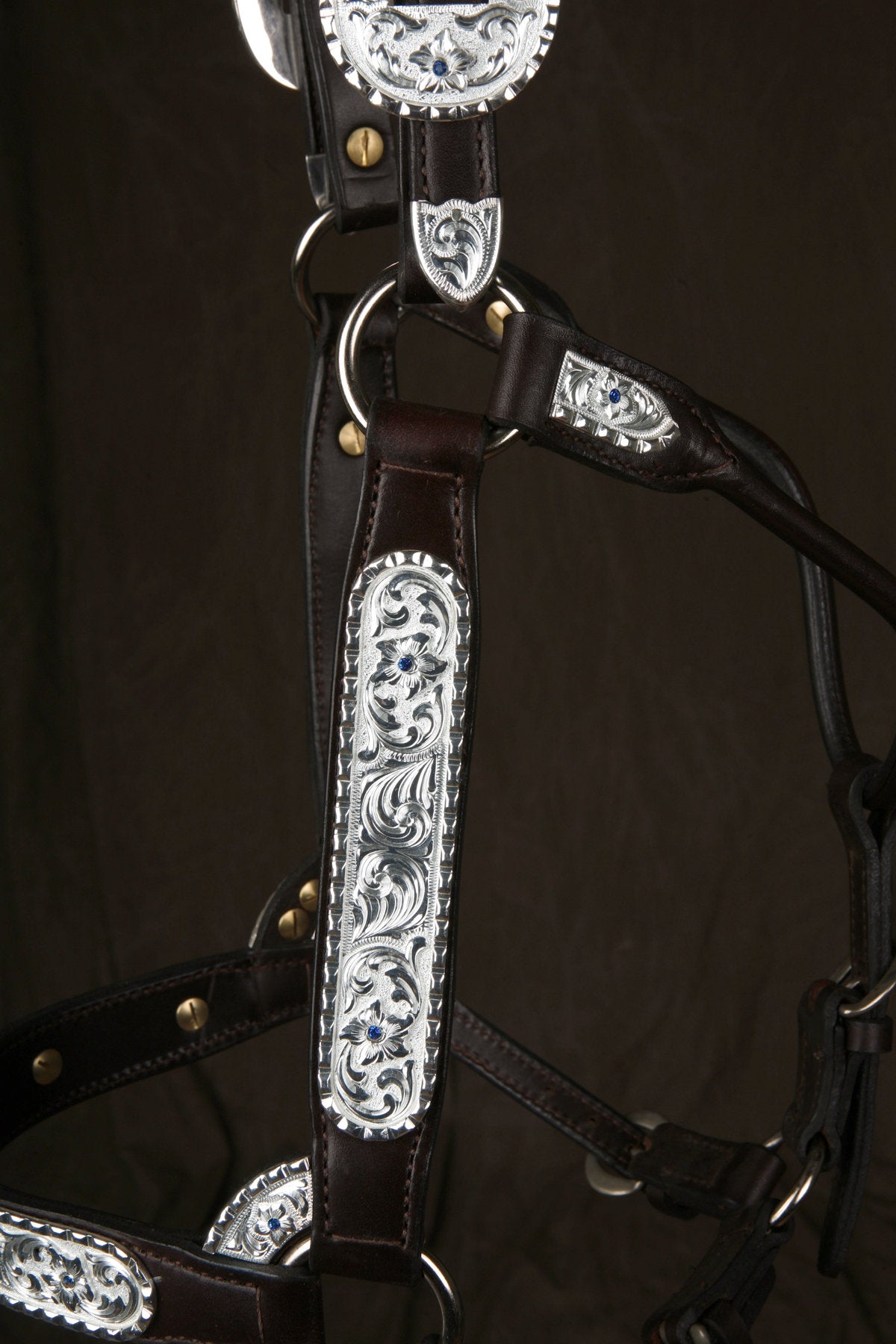 #311 Santana Halter