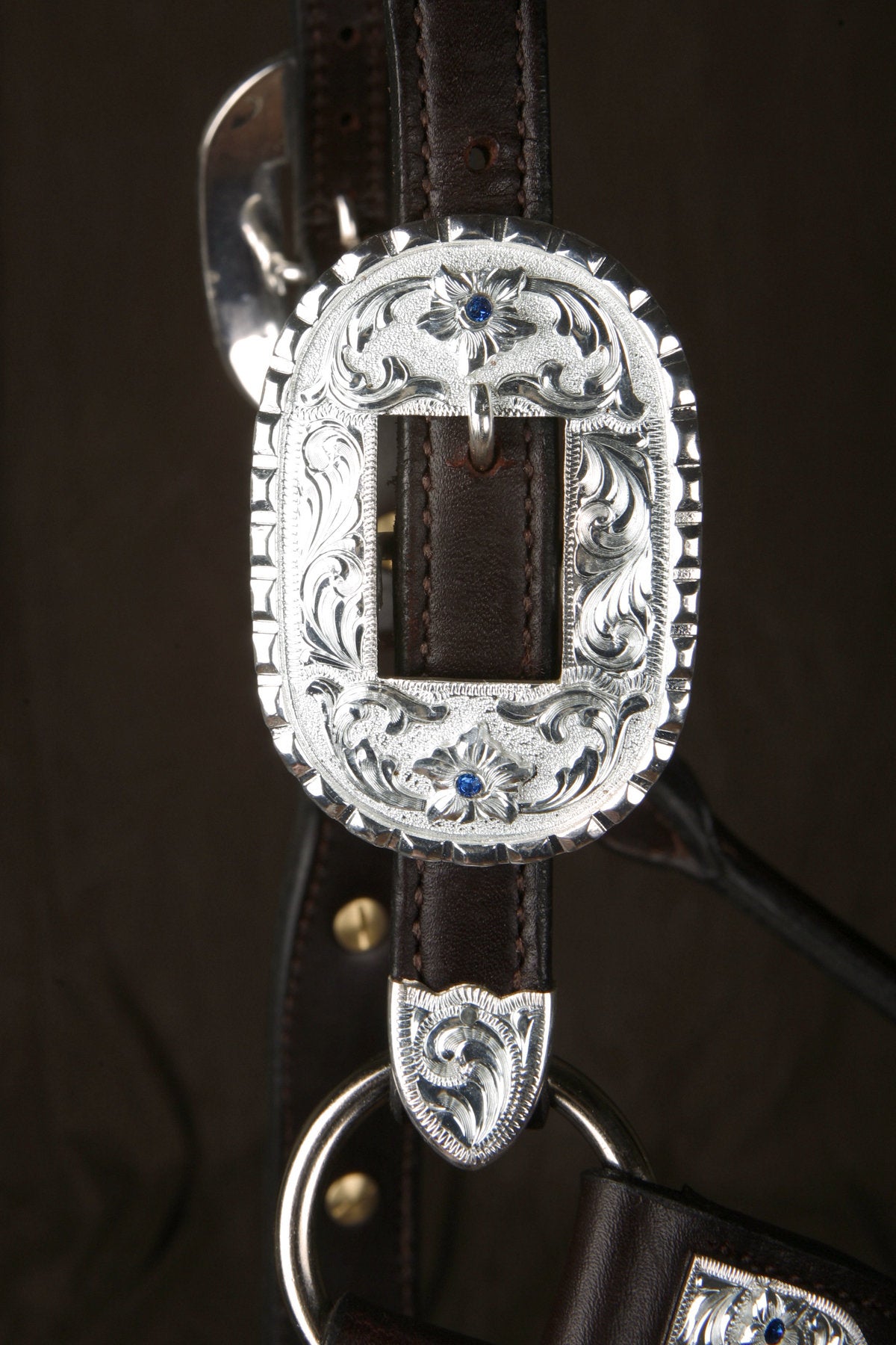 #311 Santana Halter