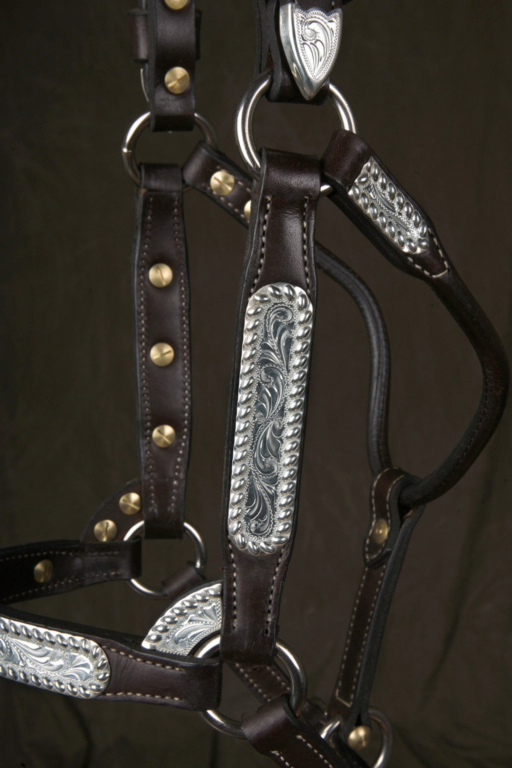 #34 Sterling Overlay Halter