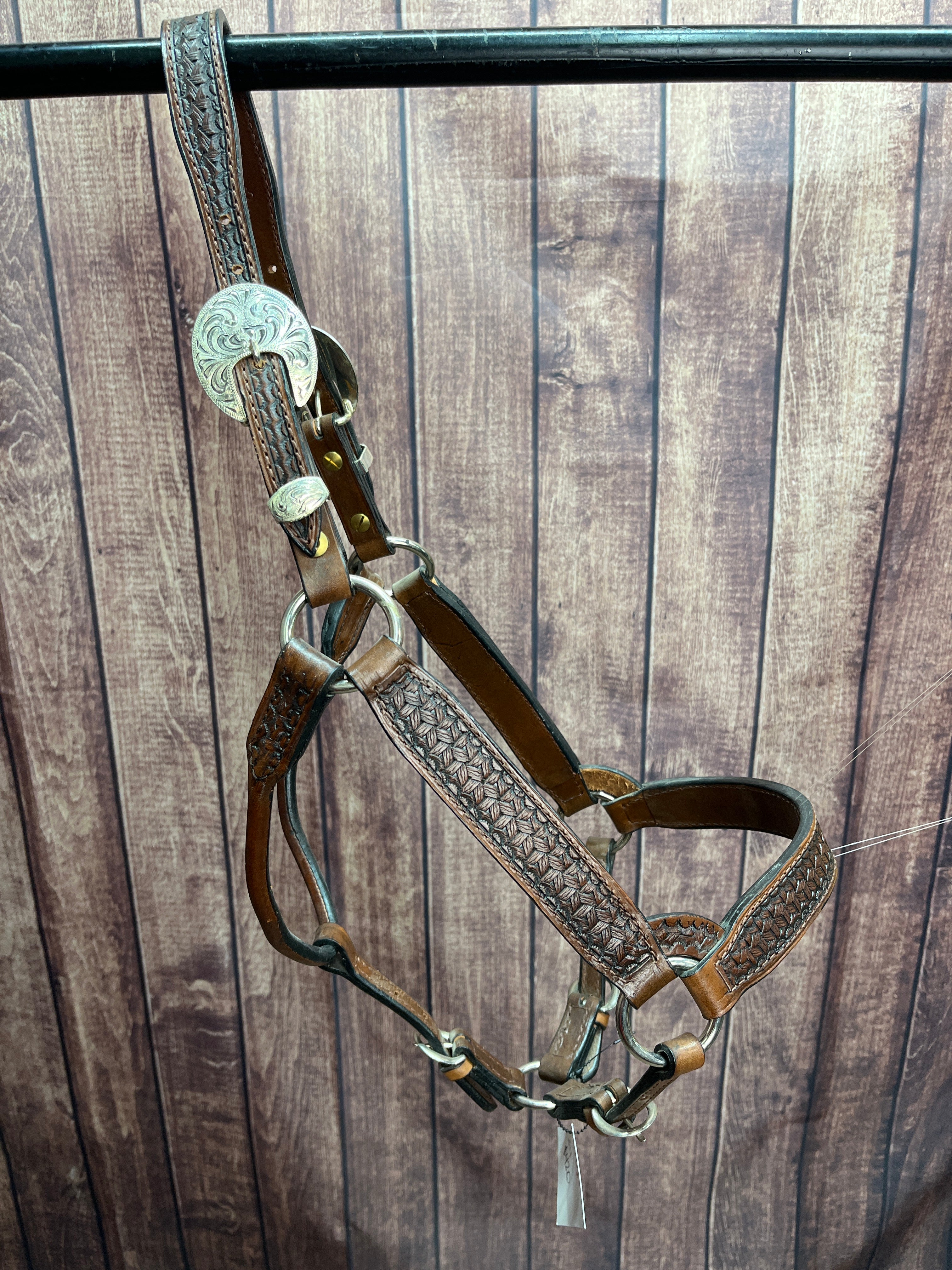 Tooled Halter #39 2Yr/Mare