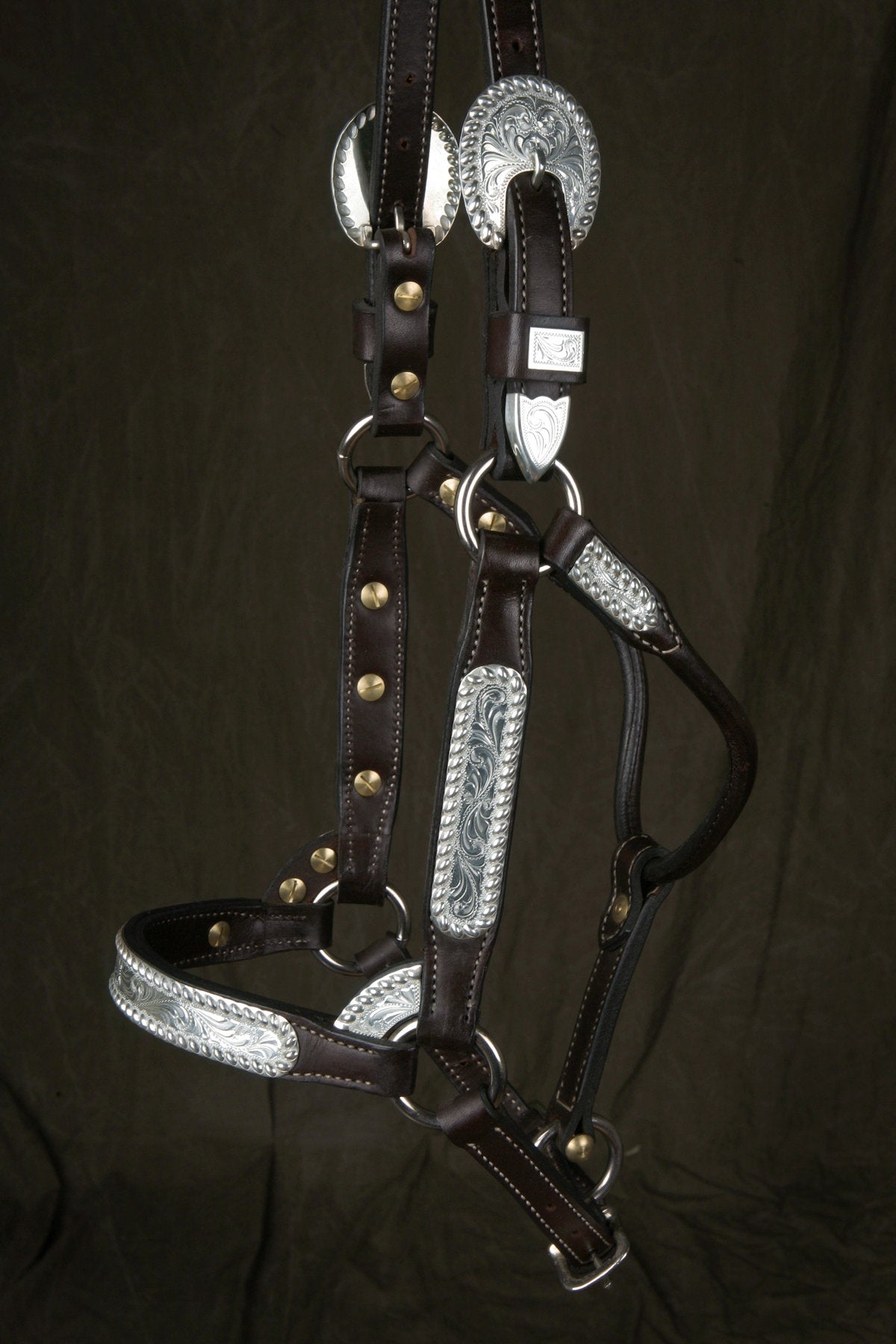 #34 Sterling Overlay Halter