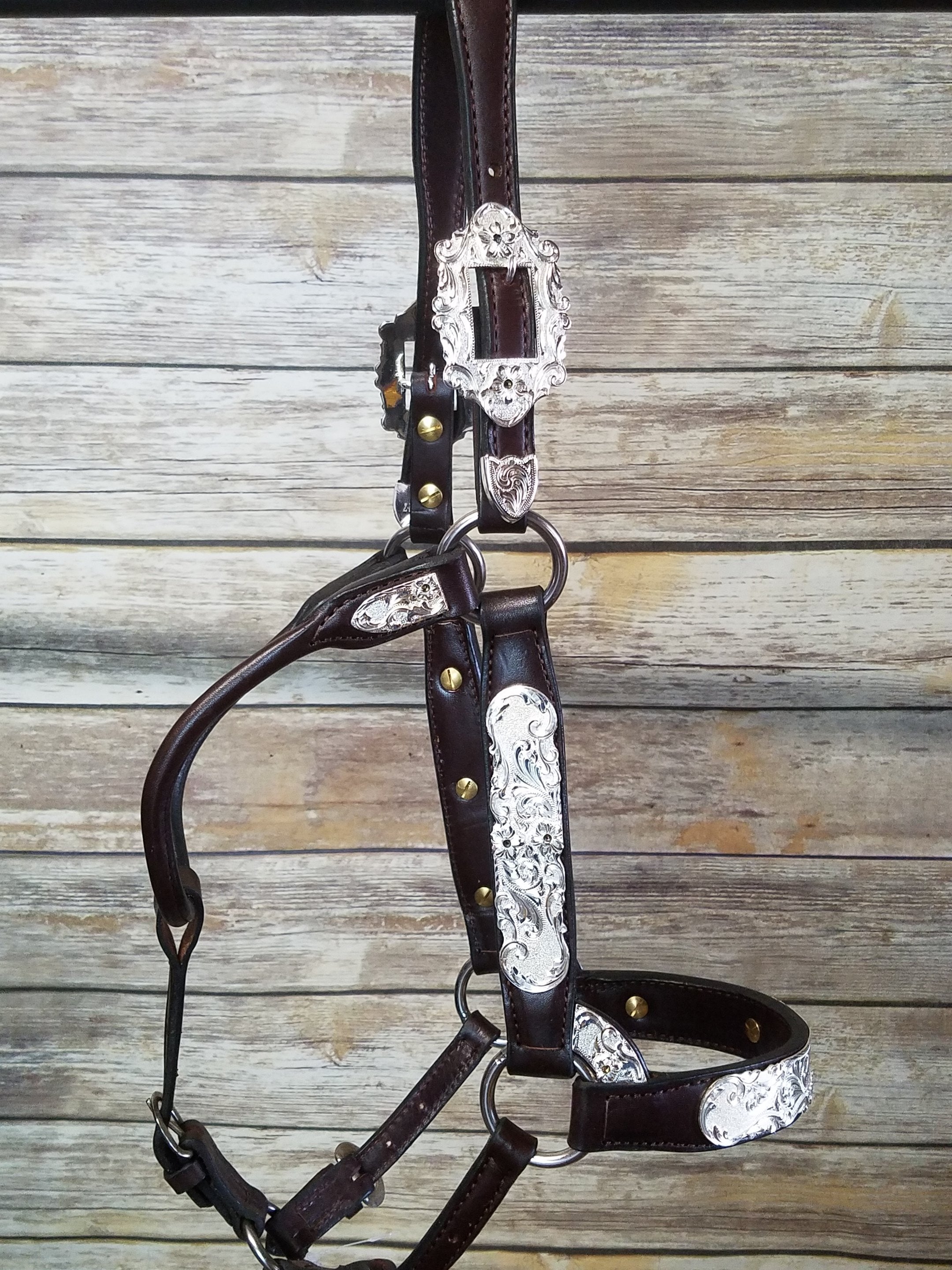 #111 Santana Halter