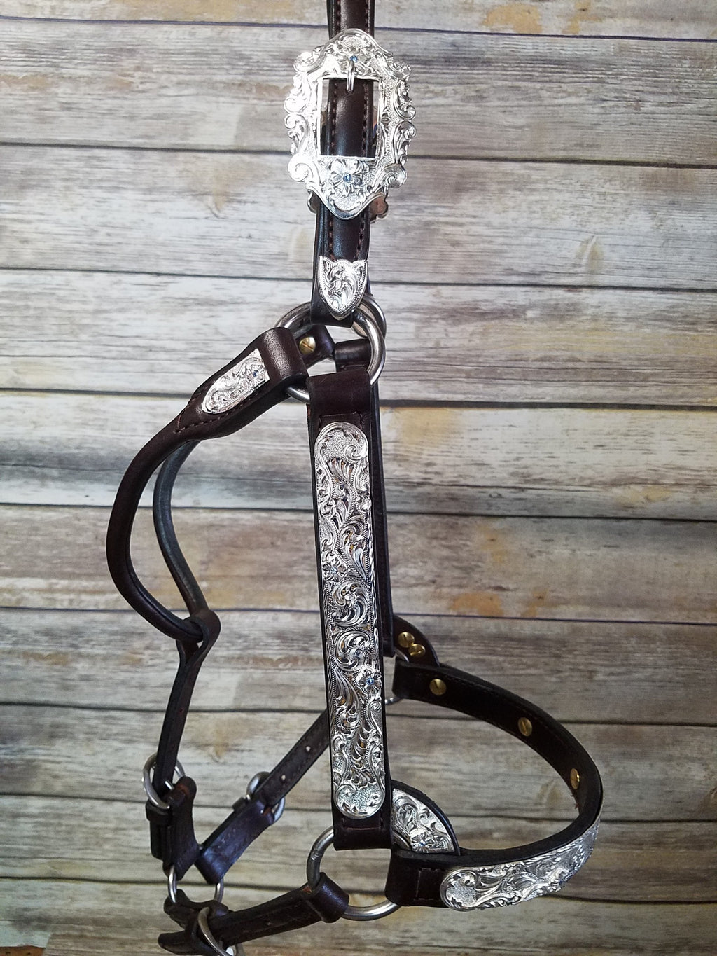 #111 Santana Halter