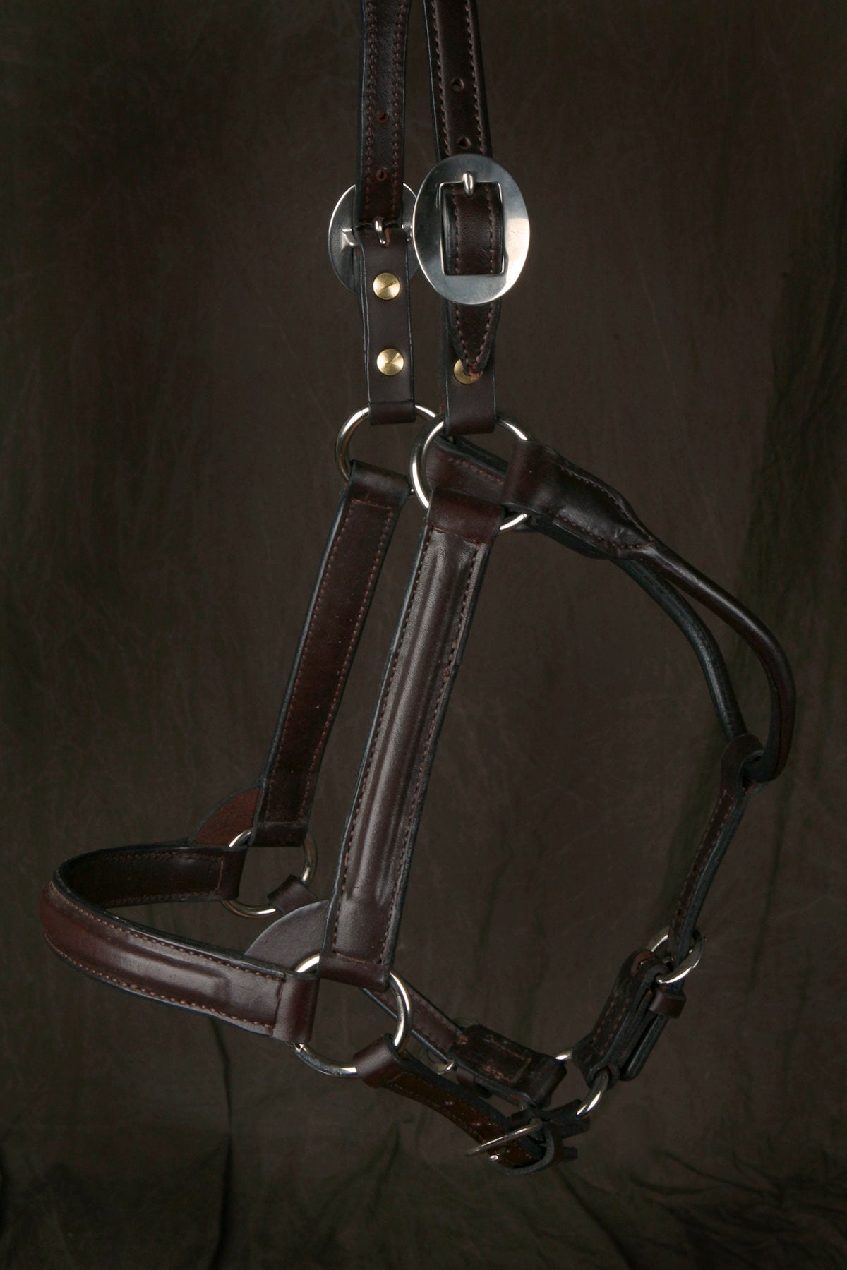 English Show Halter with Rolled Accent