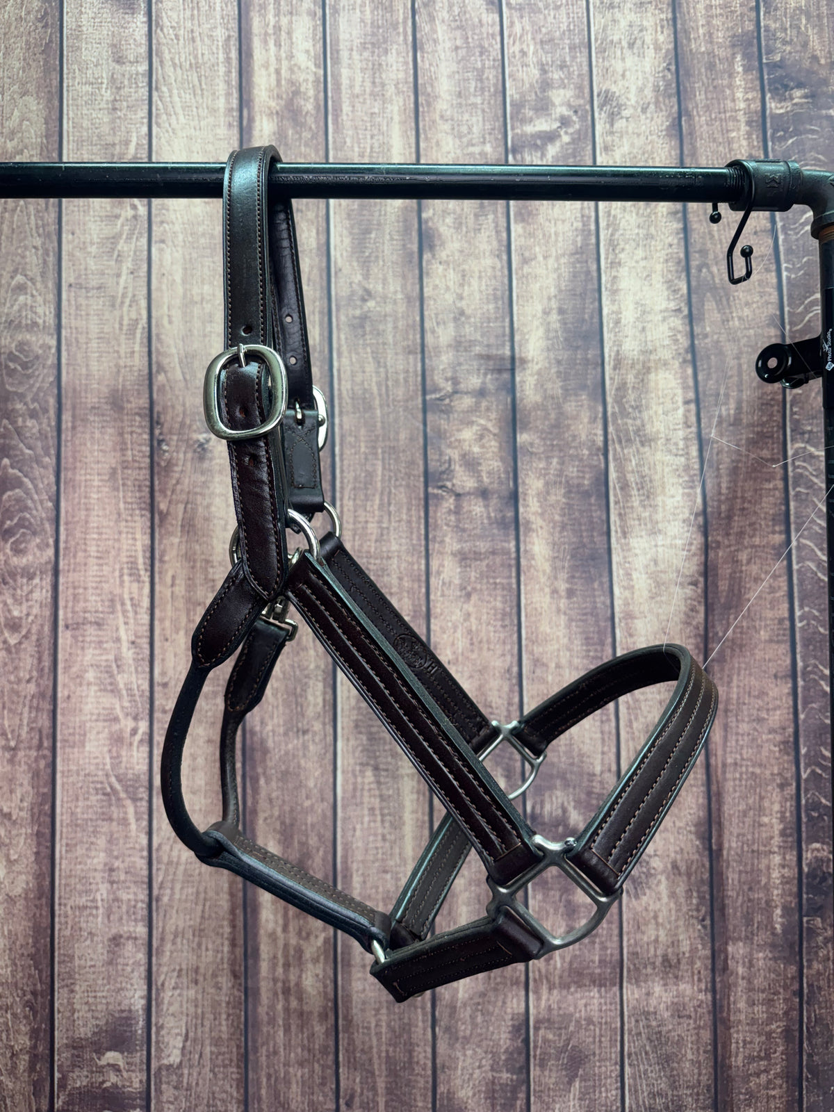 Leather Barn Halter