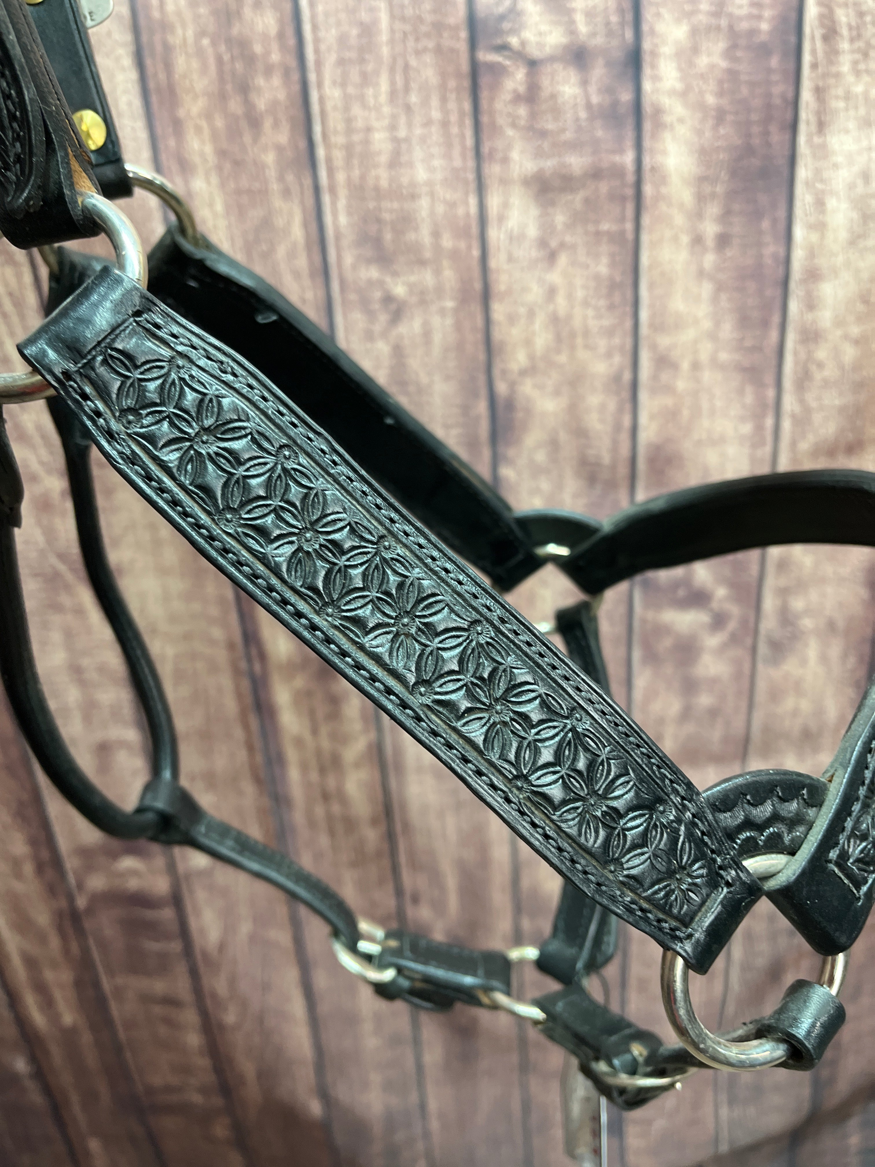 Tooled Halter #29 2Yr/Mare