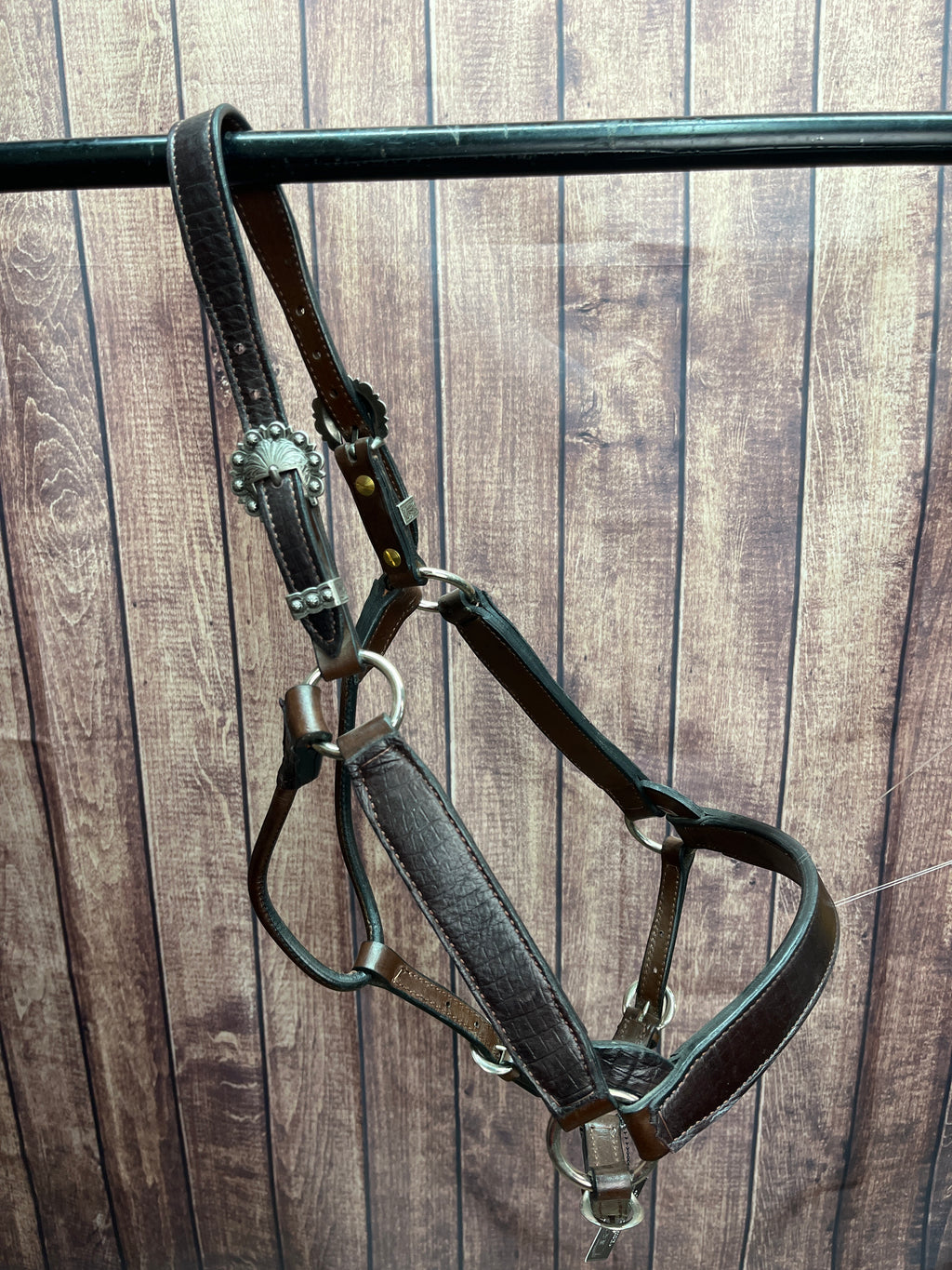 Ostrich Halter #36 2Yr/Mare