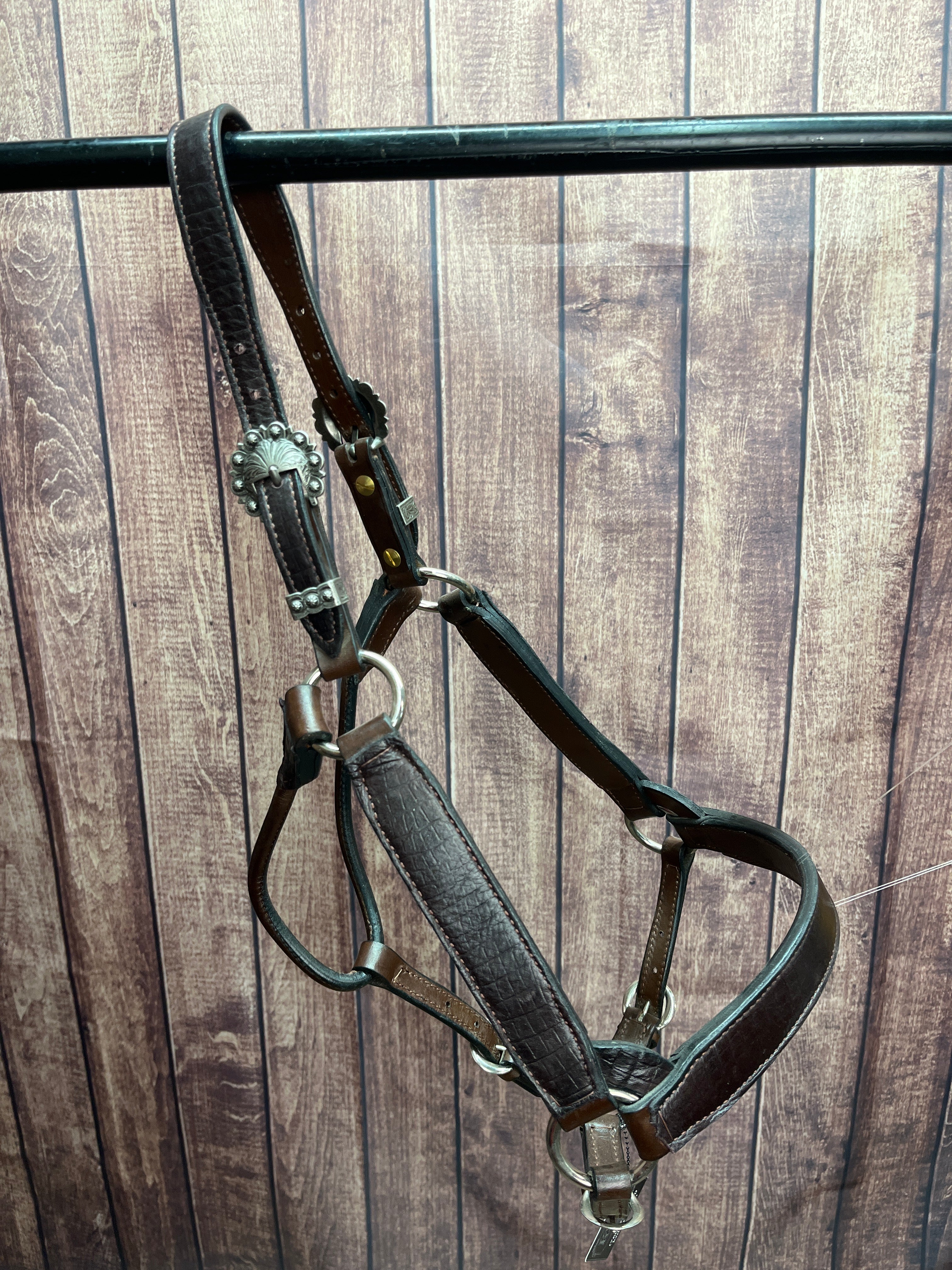 Ostrich Halter #36 2Yr/Mare