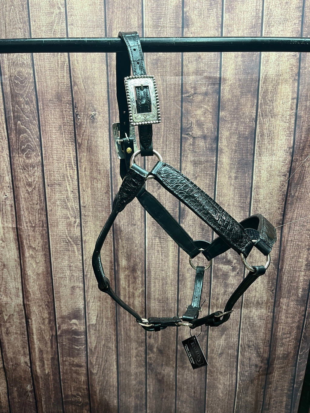 Caiman Halter #3 2Yr/Mare