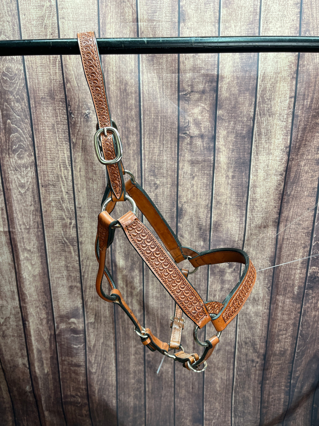 Tooled Halter #27 2Yr/Mare