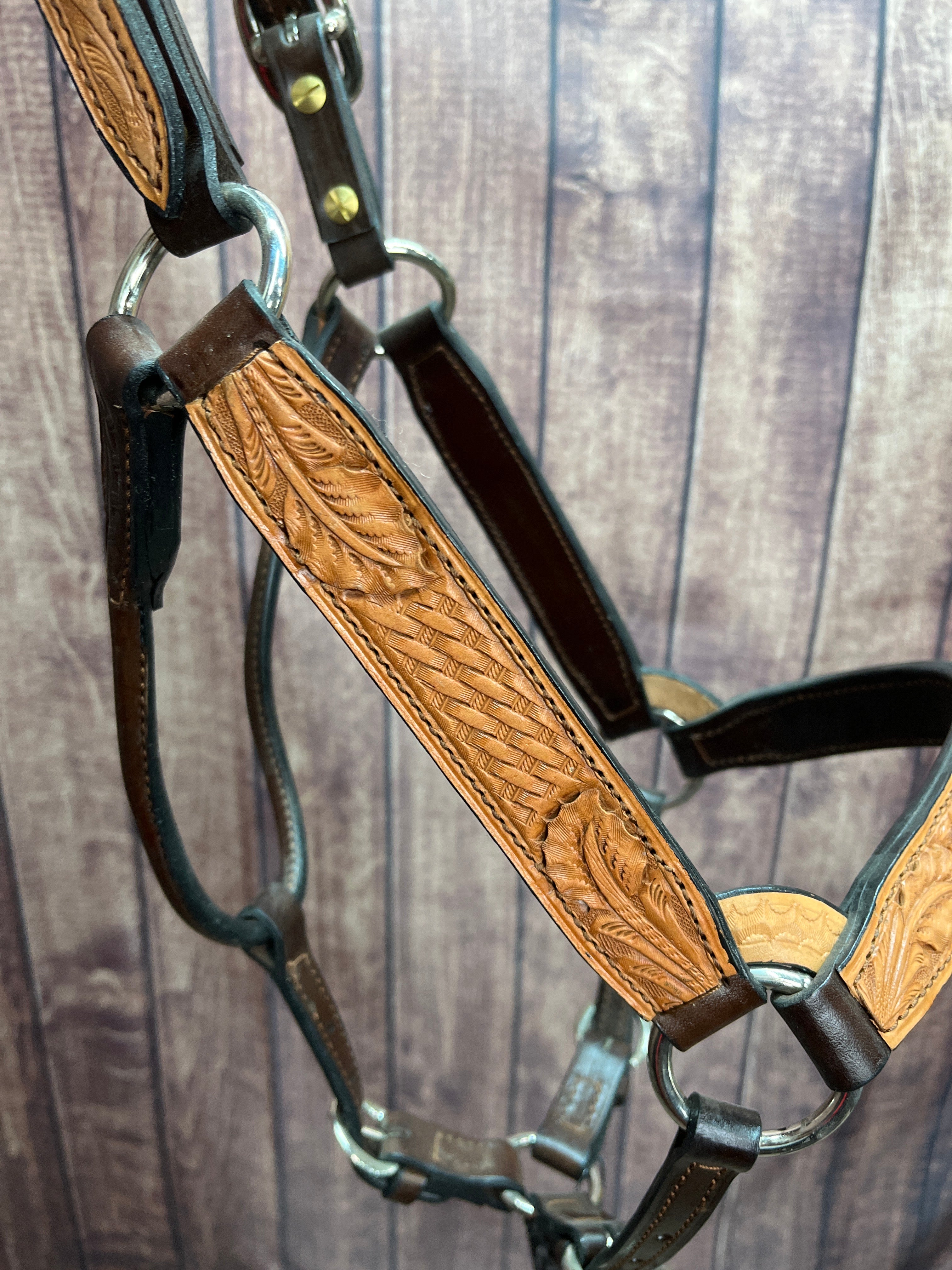 Tooled Halter #31 2Yr/Mare
