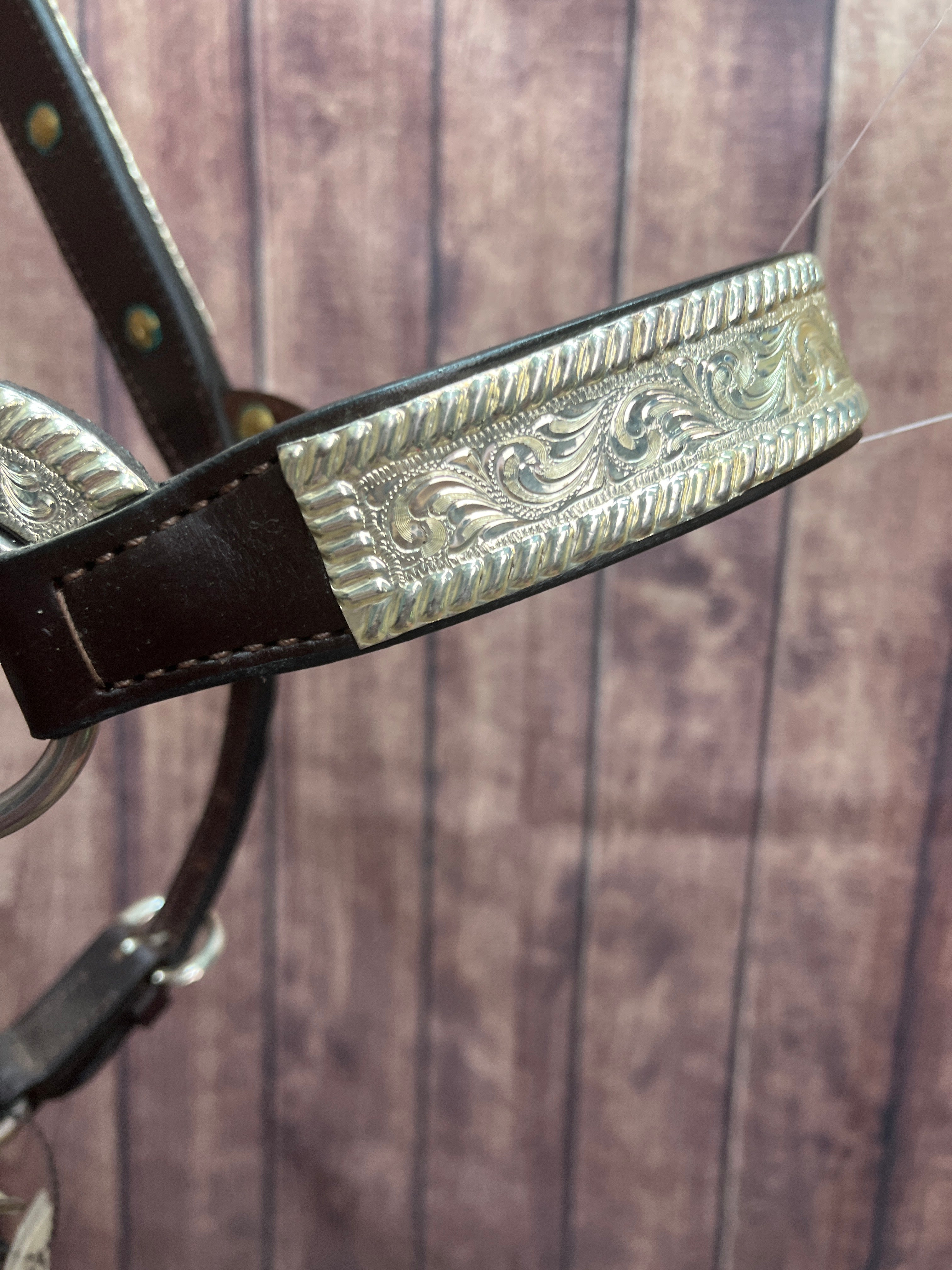 Santana Lg Horse Halter #108