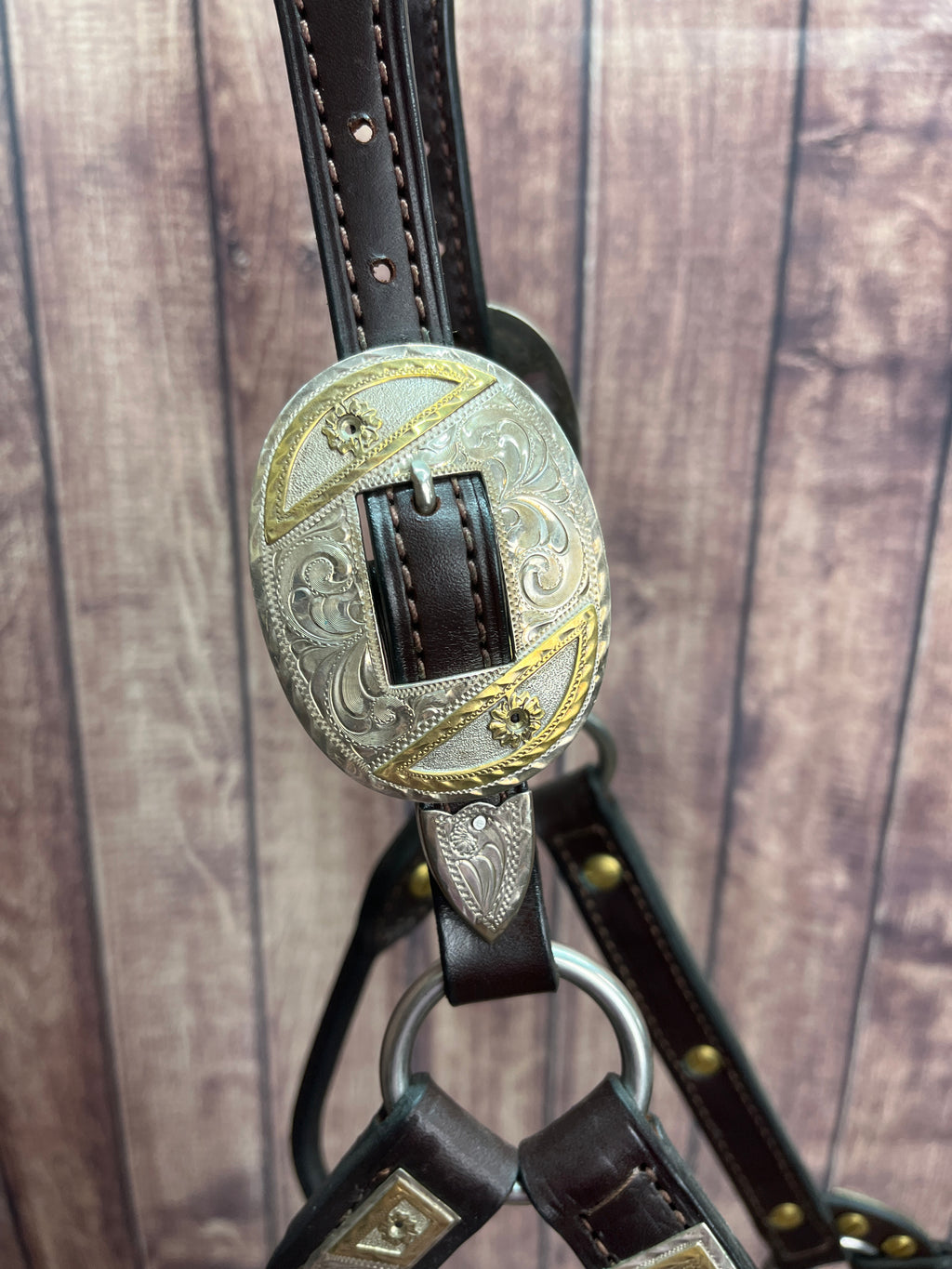 Remounted Sterling Overlay Horse Halter
