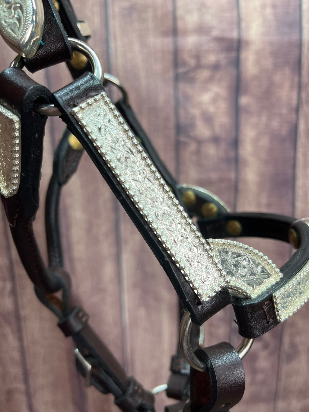 Mini A #102 Santana Halter