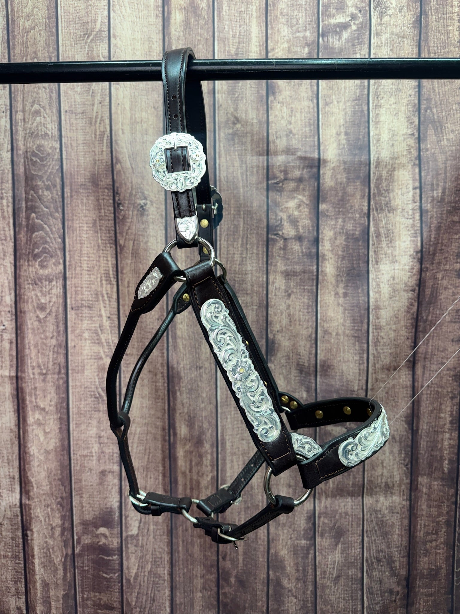 #435 Santana Halter