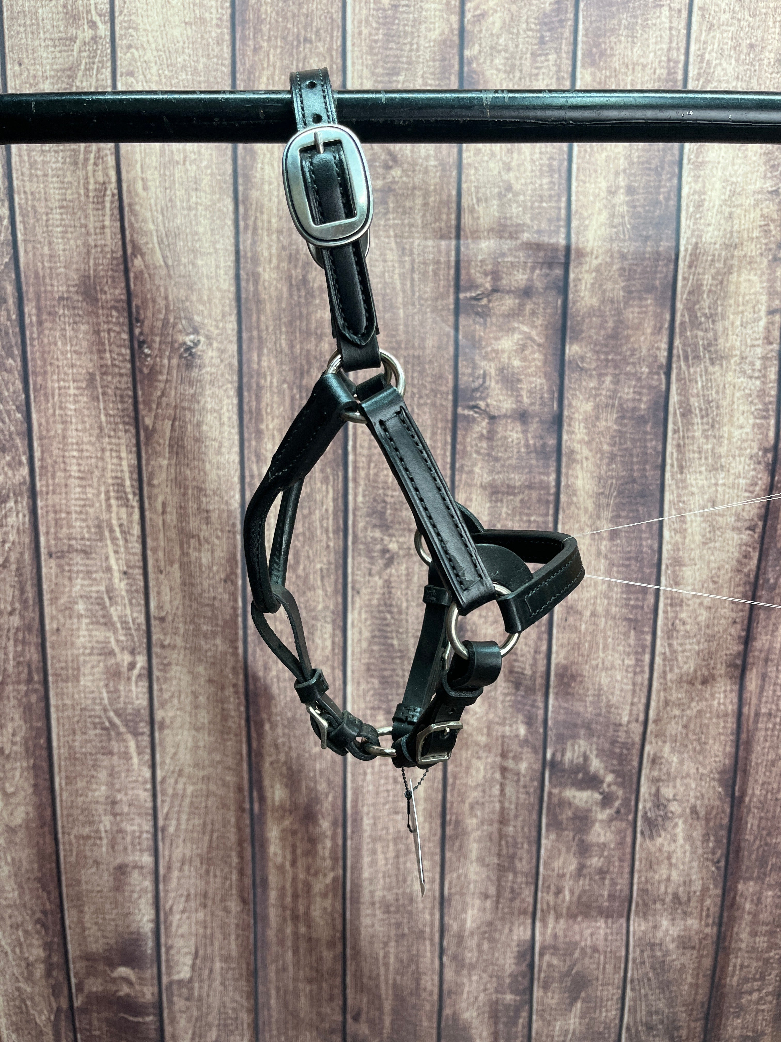 Mini A Leather Halter #2