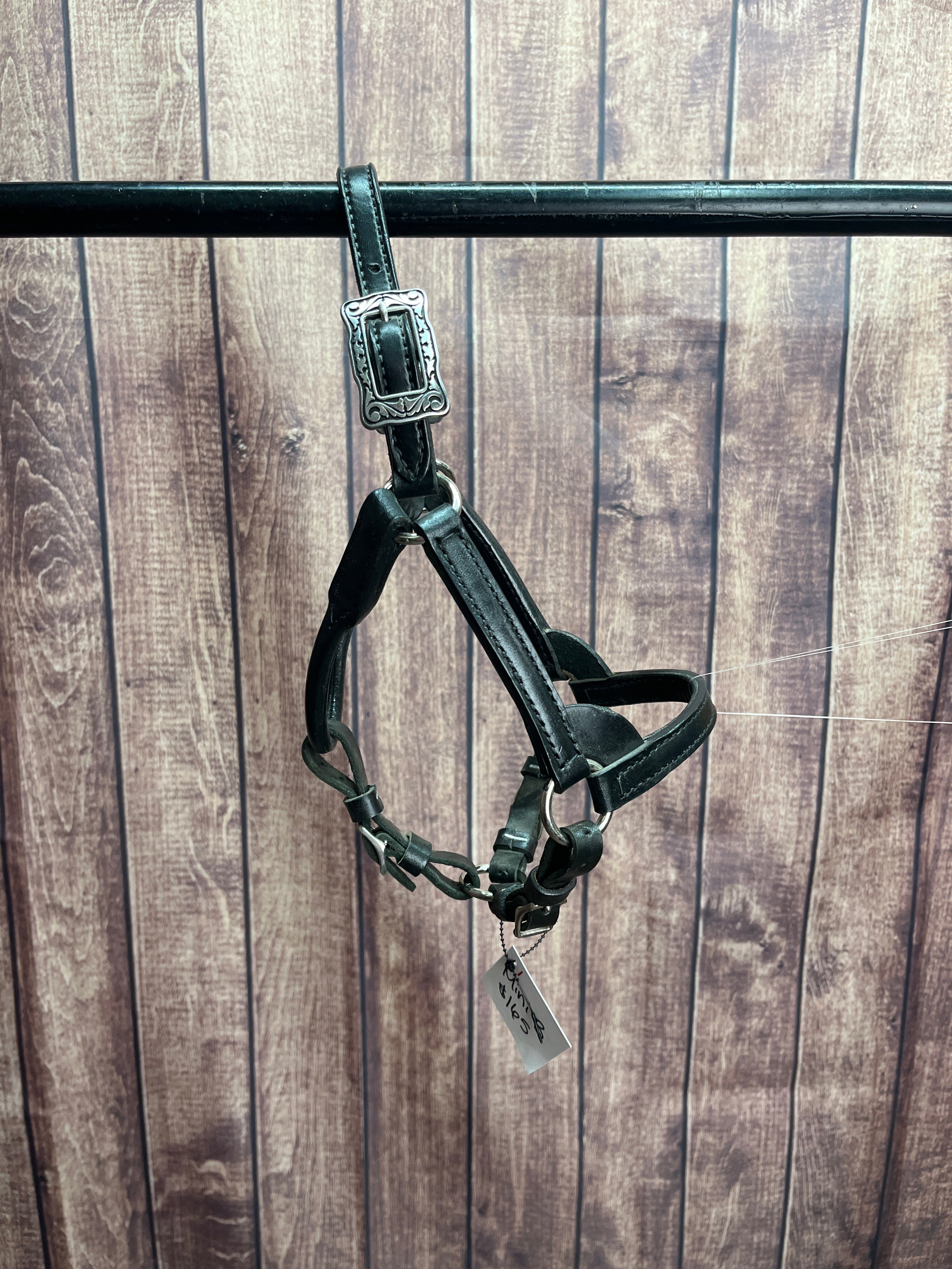 Mini B Leather Halter #1