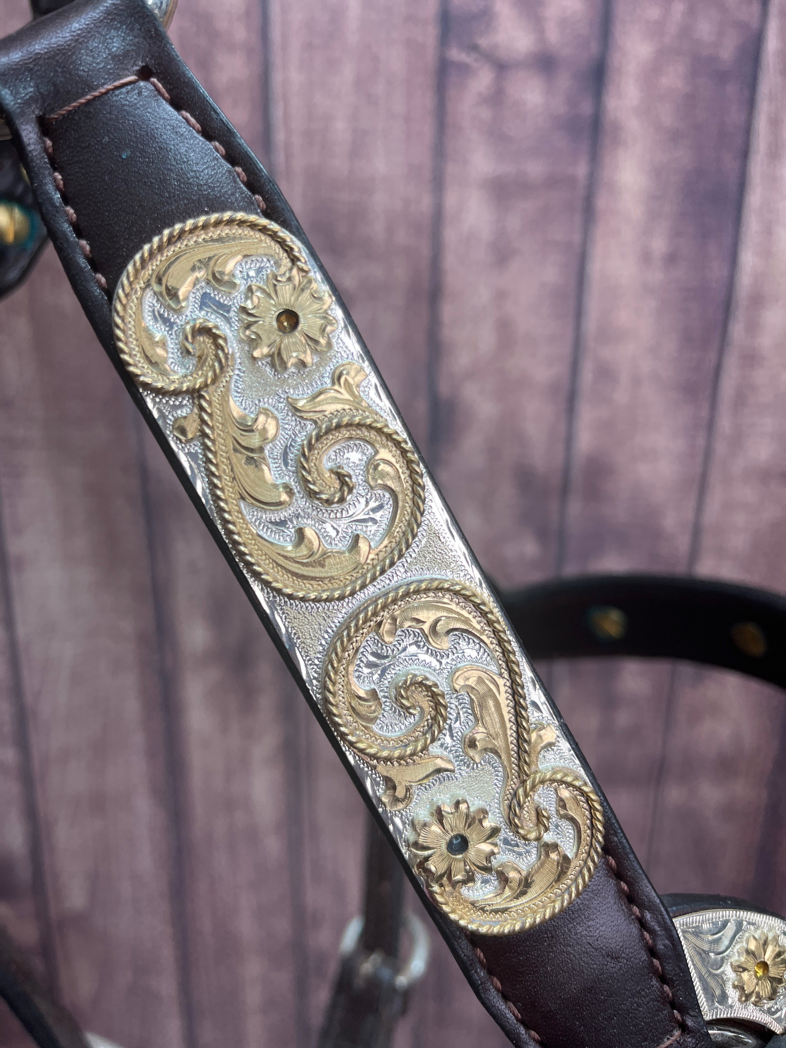 Santana Yearling Halter #280