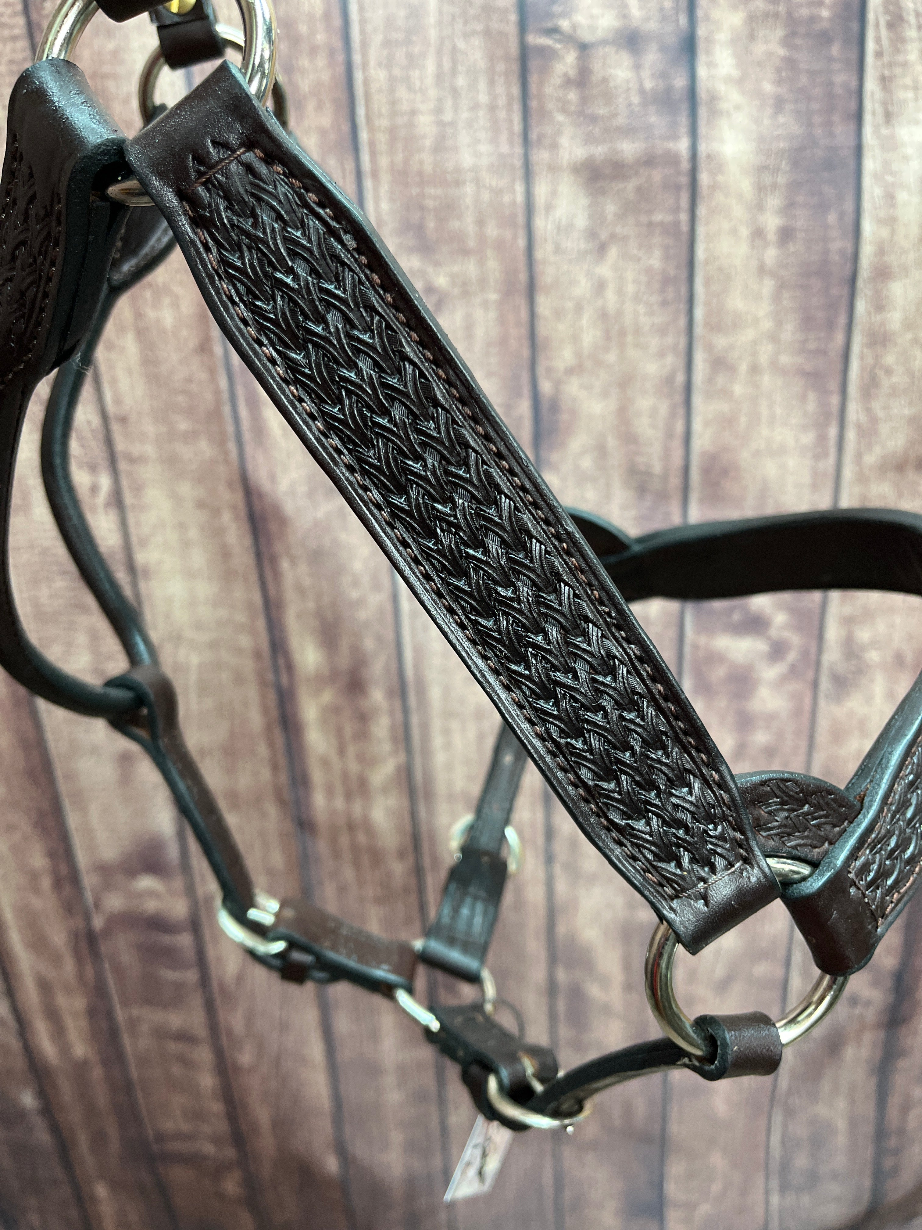 Tooled Halter #33 2Yr/Mare
