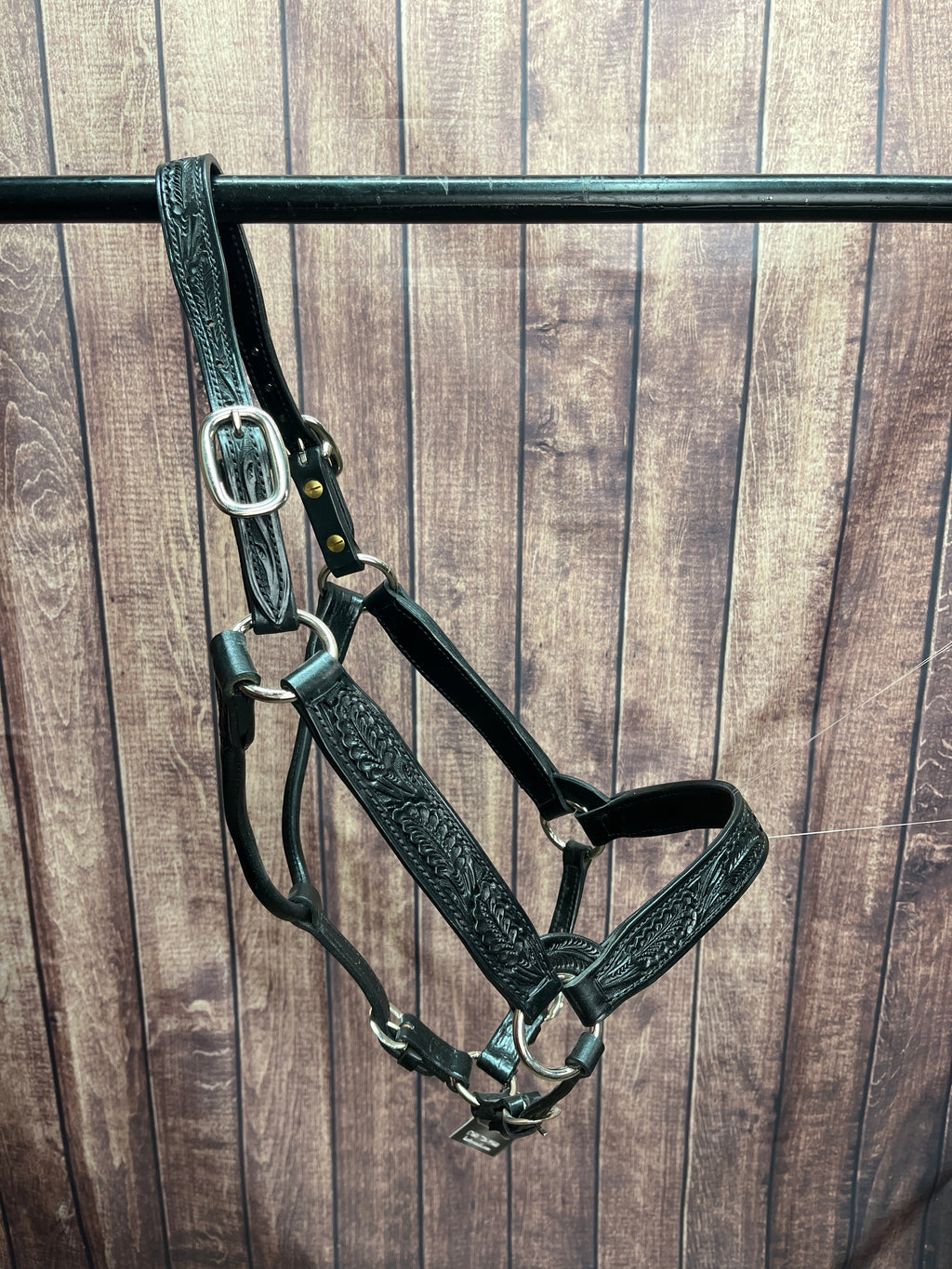 Tooled Halter #28 2Yr/Mare