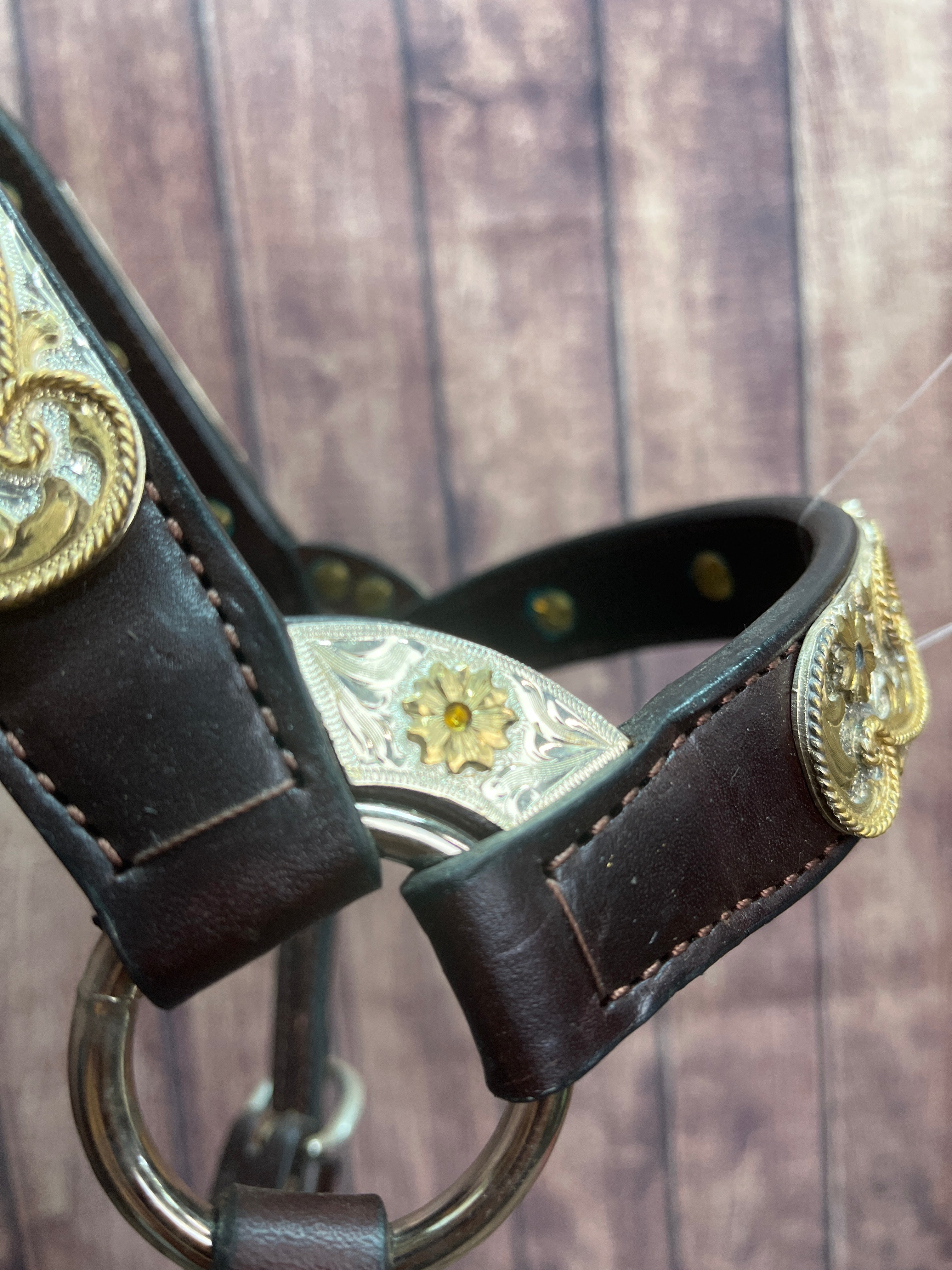 Santana Yearling Halter #280