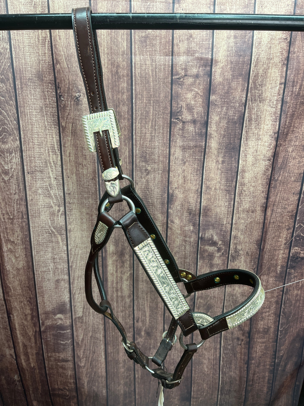 Santana Lg Horse Halter #108