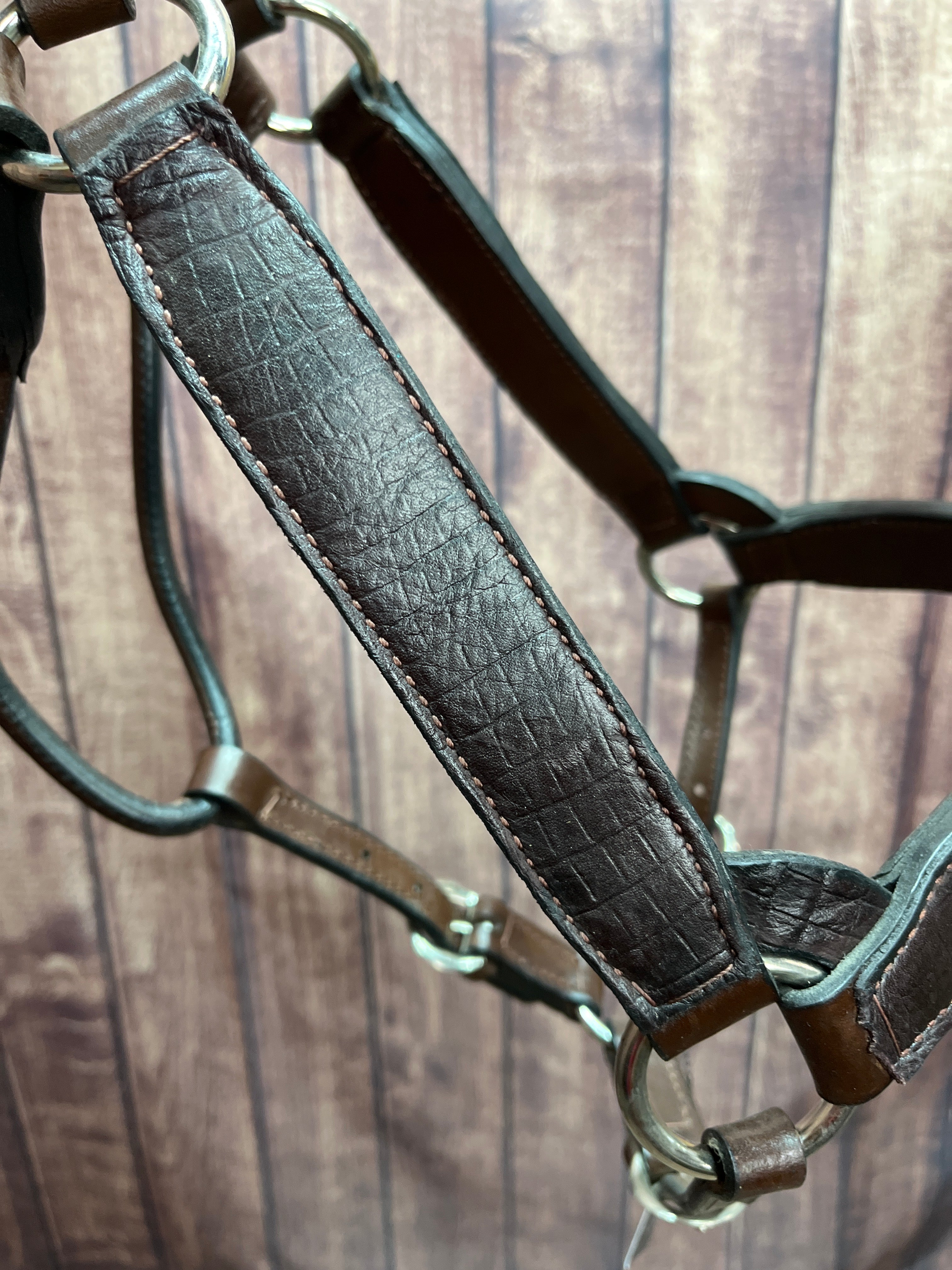 Ostrich Halter #36 2Yr/Mare