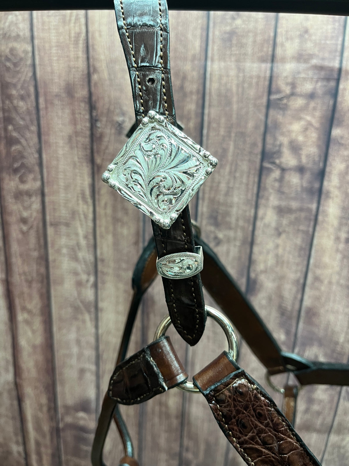 Caiman Halter #5 Horse
