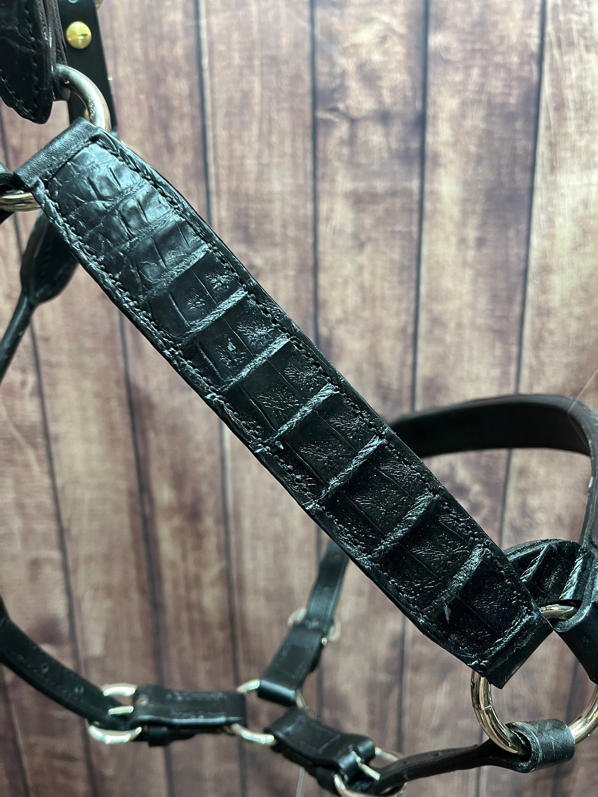 Caiman Halter #2 Horse