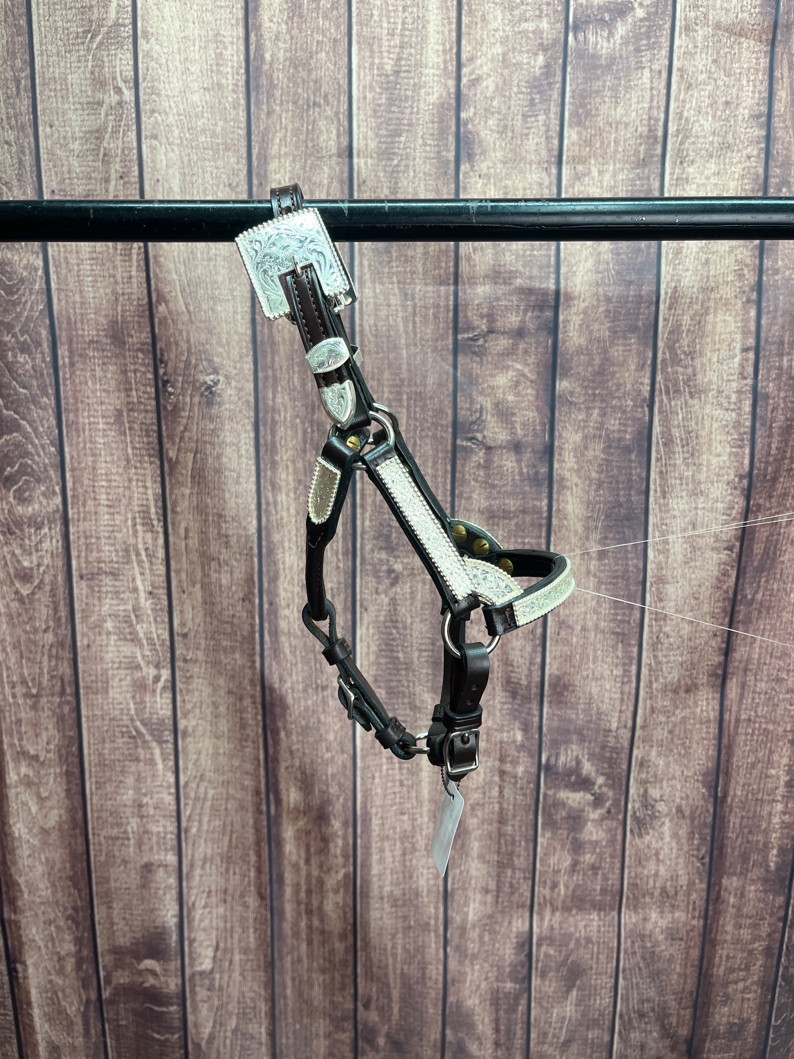 Mini A #102 Santana Halter