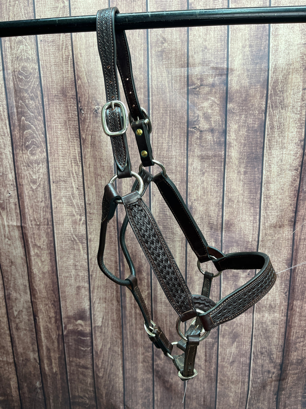 Tooled Halter #41 2Yr/Mare