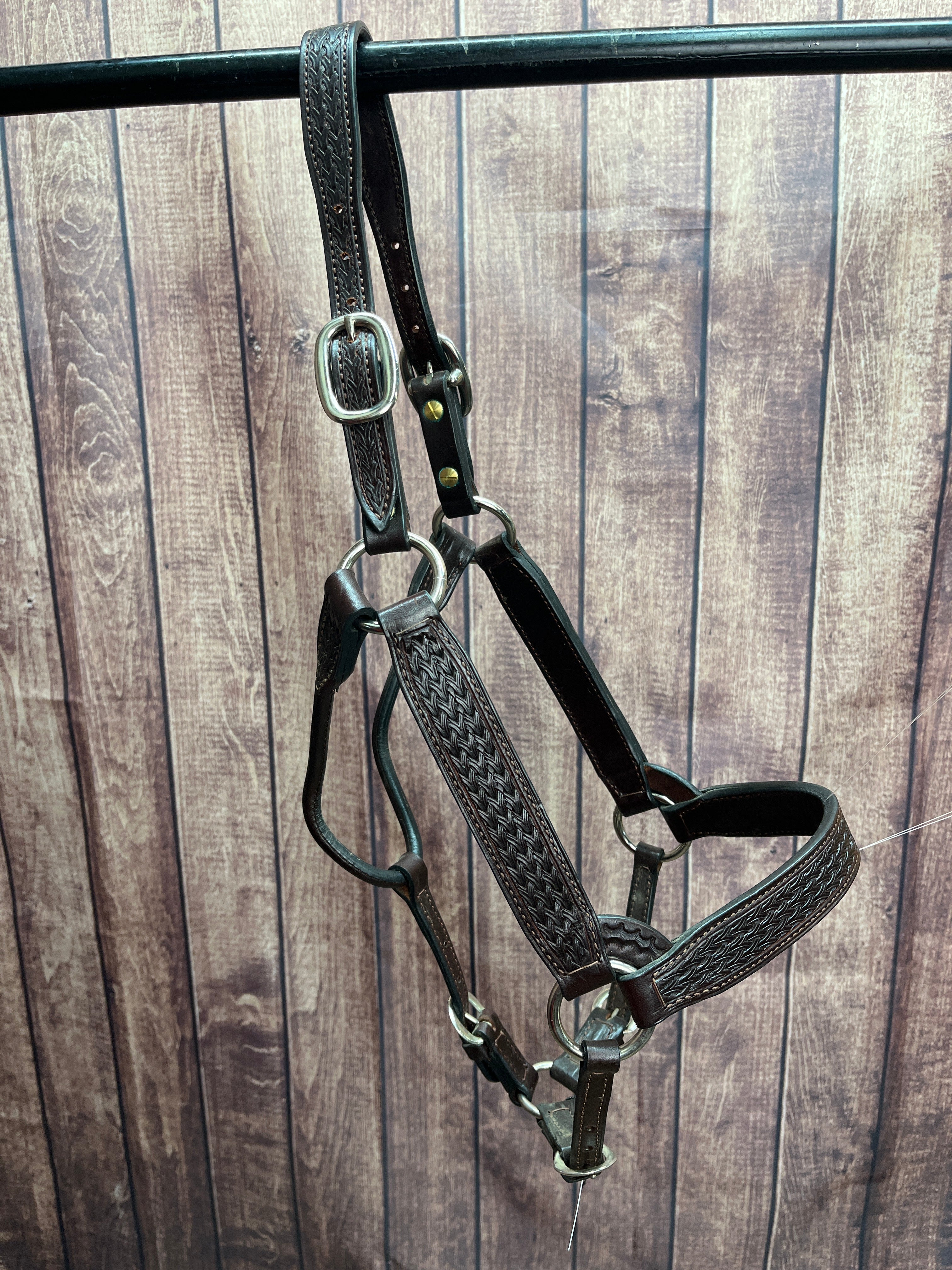 Tooled Halter #41 2Yr/Mare