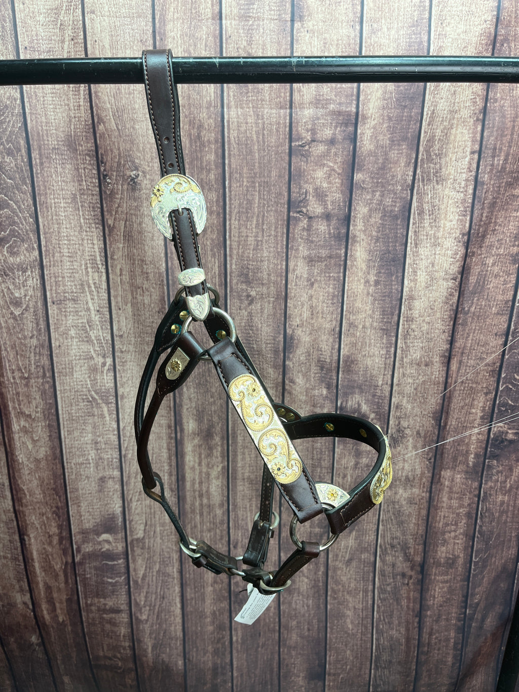 Santana Yearling Halter #280