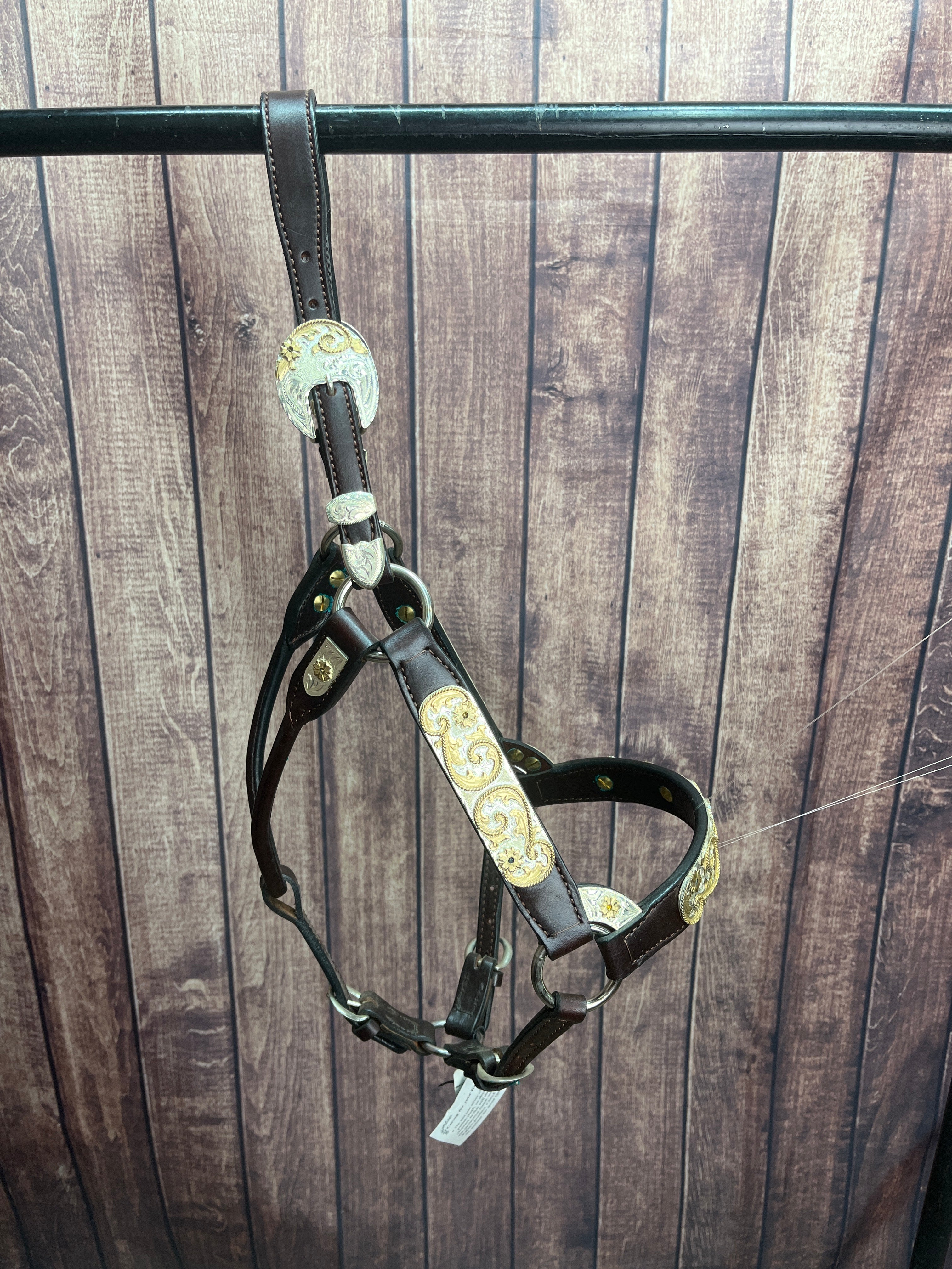 Santana Yearling Halter #280