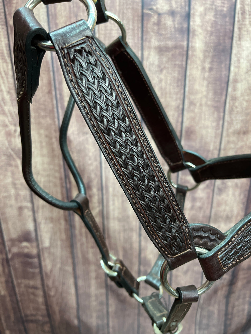 Tooled Halter #41 2Yr/Mare