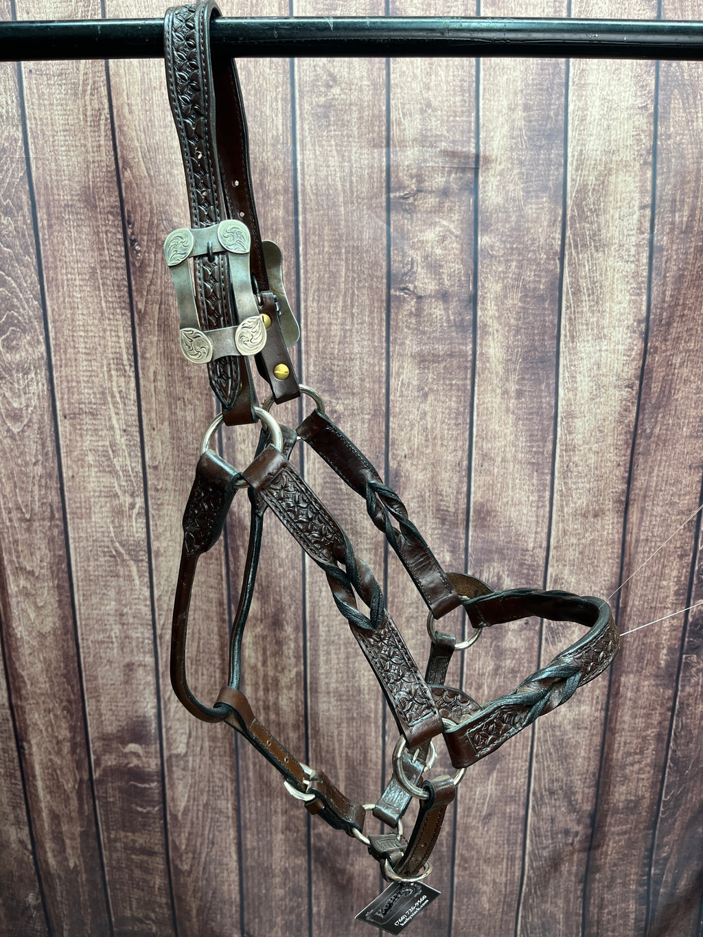 Tooled Halter #42 2Yr/Mare