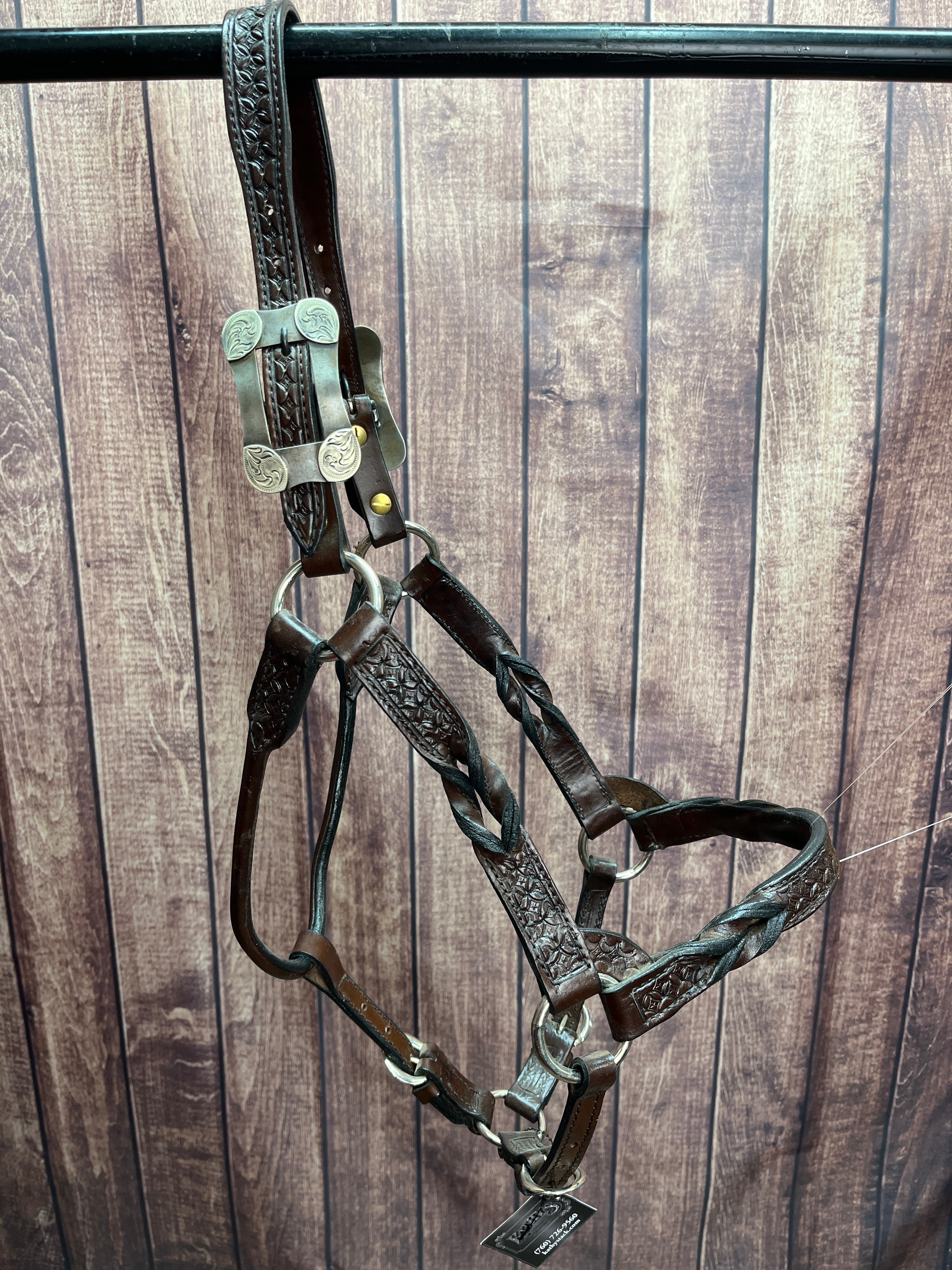 Tooled Halter #42 2Yr/Mare