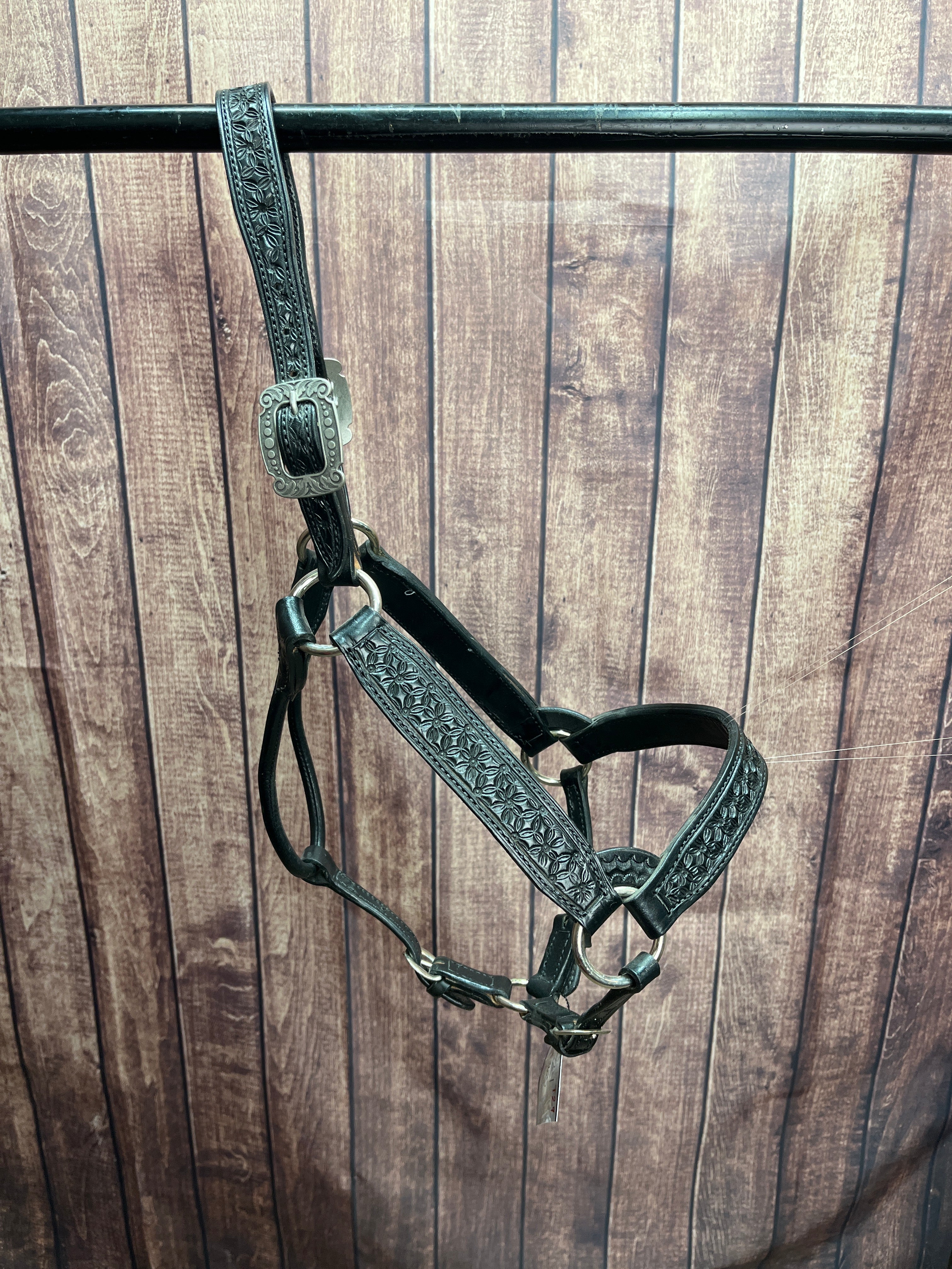 Tooled Halter #29 2Yr/Mare