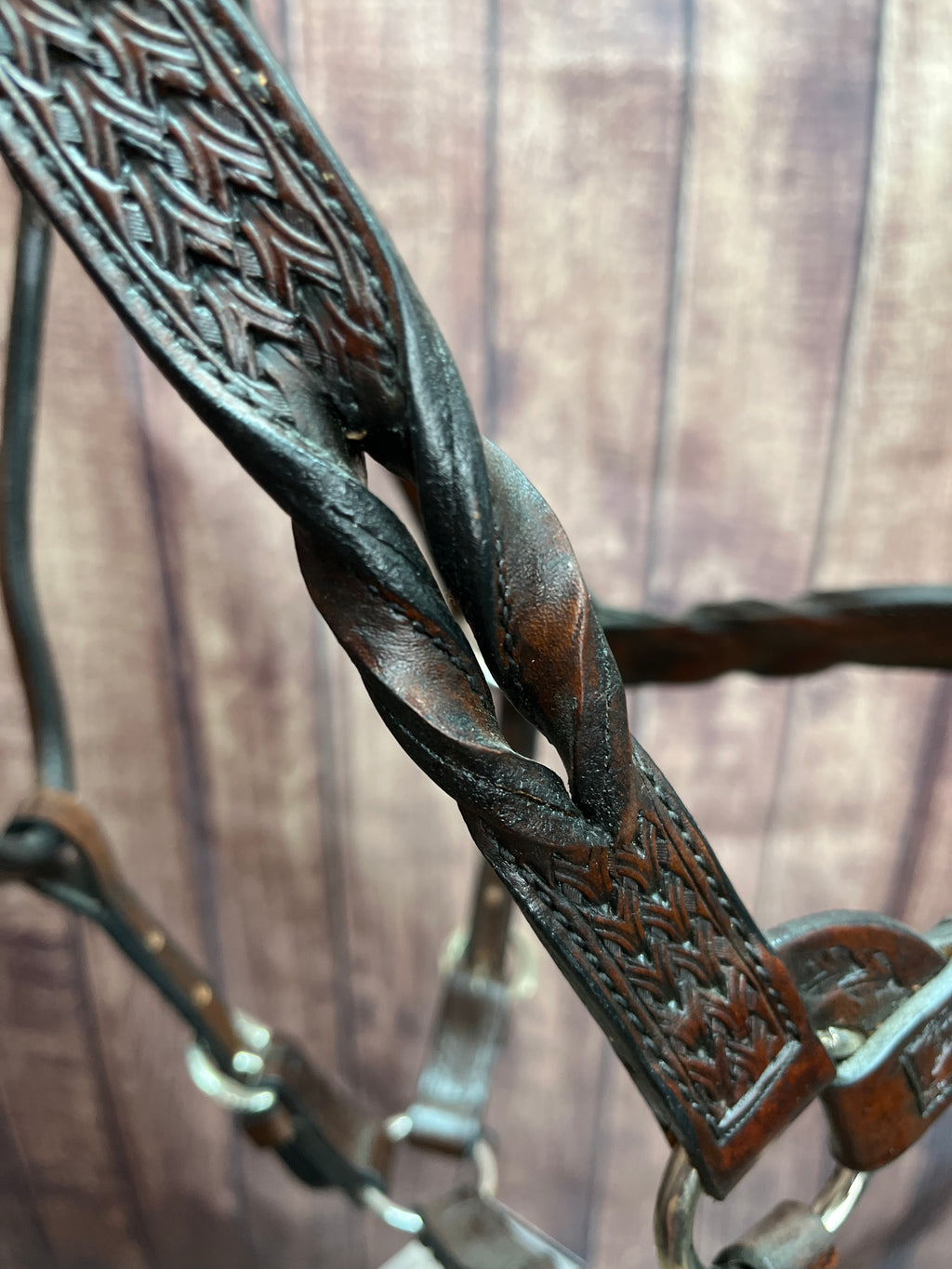 Tooled Halter #40 2Yr/Mare