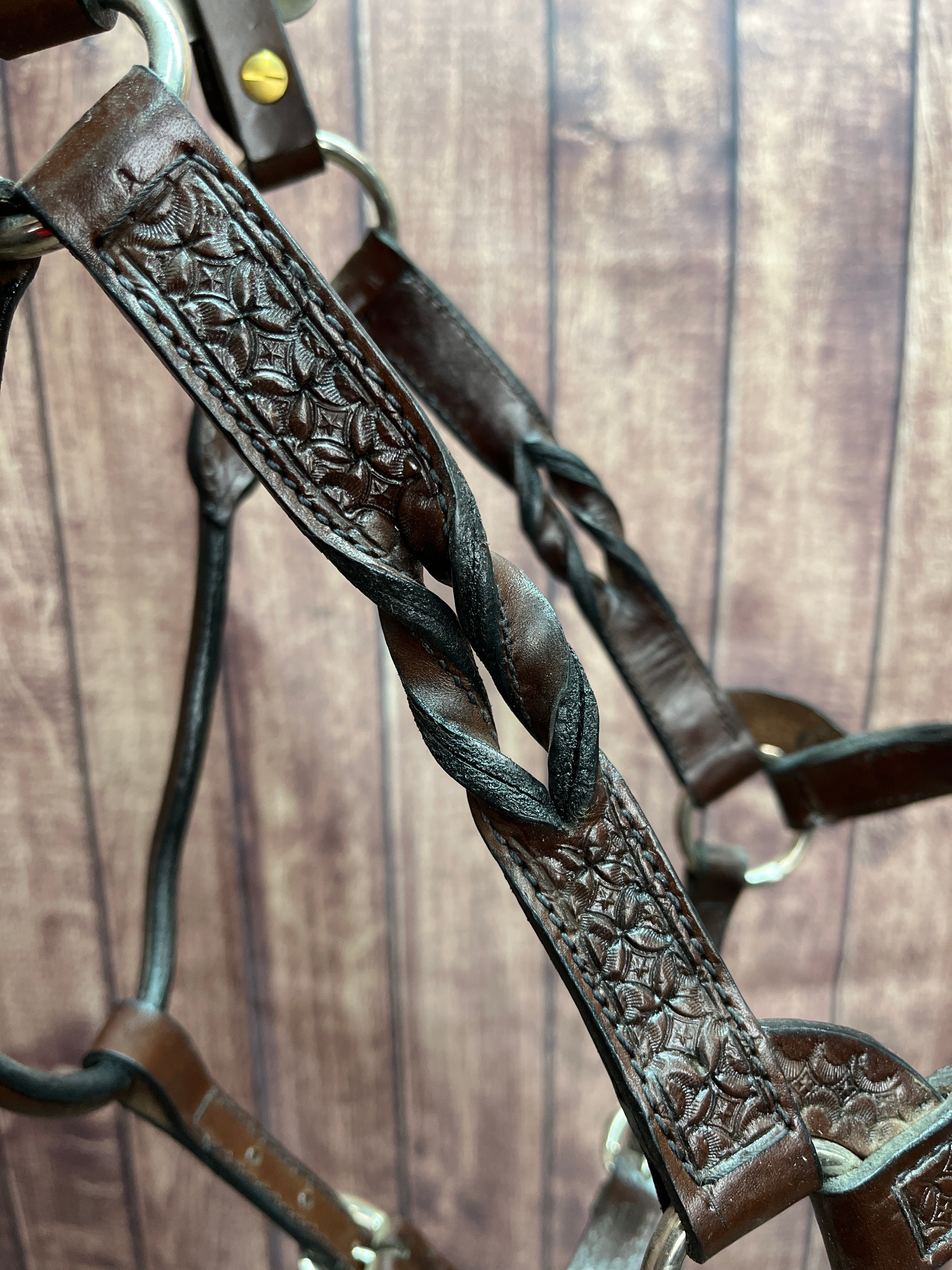 Tooled Halter #42 2Yr/Mare
