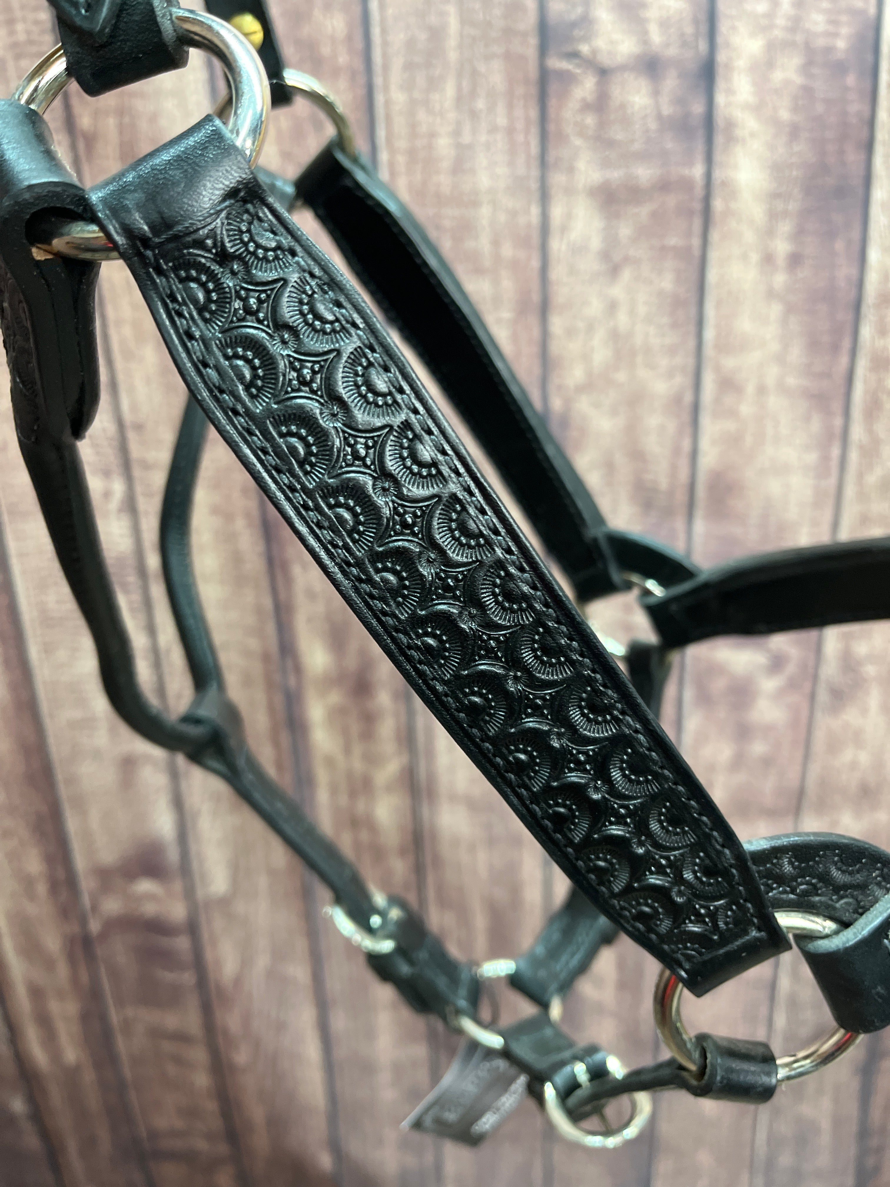 Tooled Halter #30 2Yr/Mare