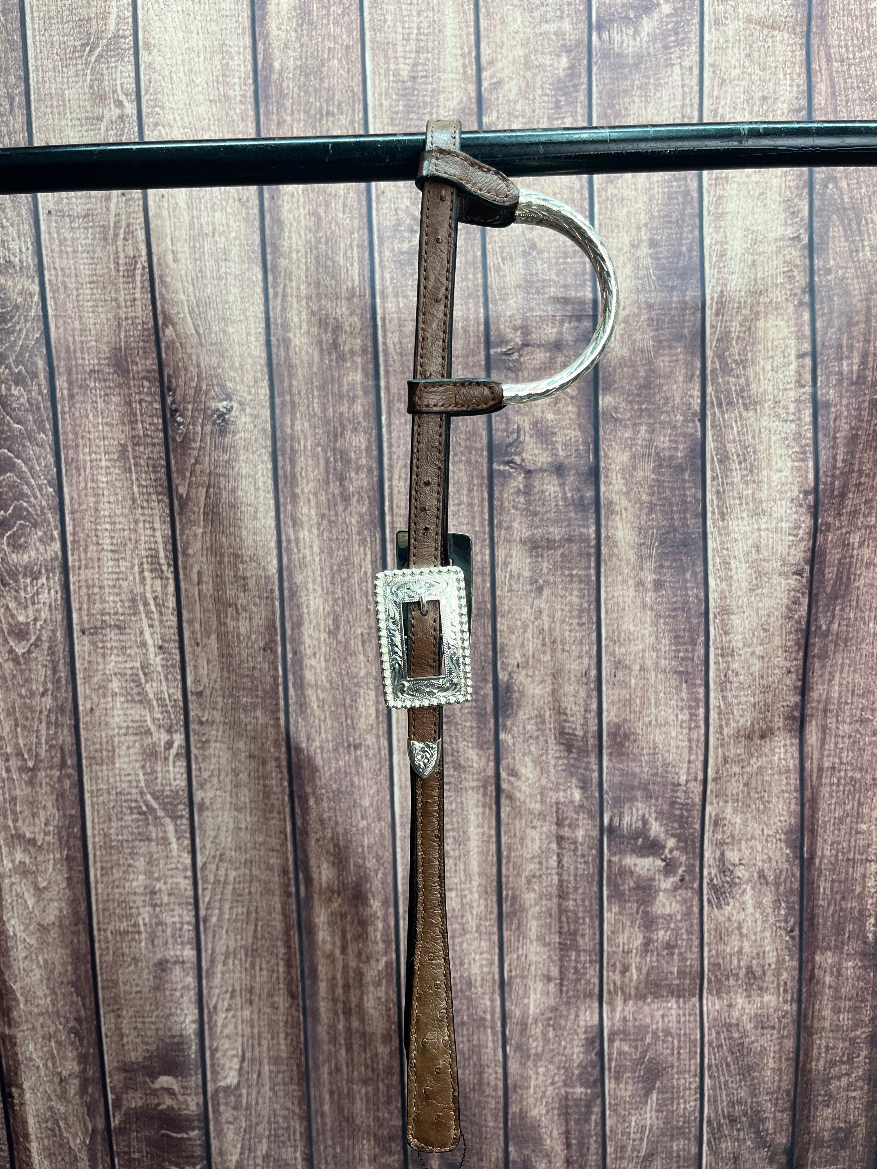 Santana Caiman Headstall #27