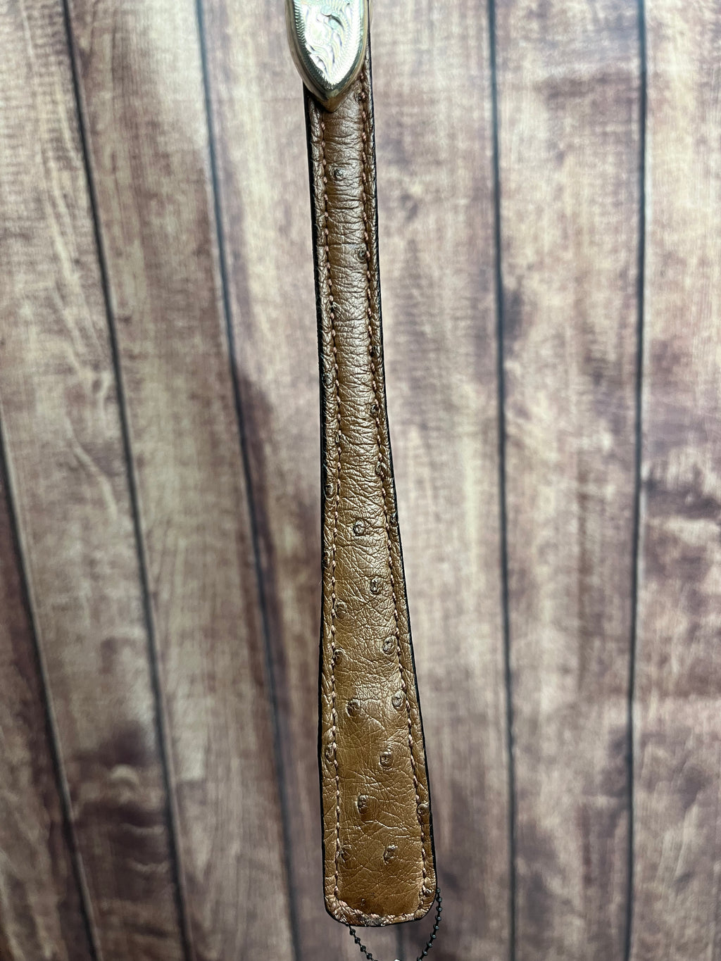 Santana Caiman Headstall #27