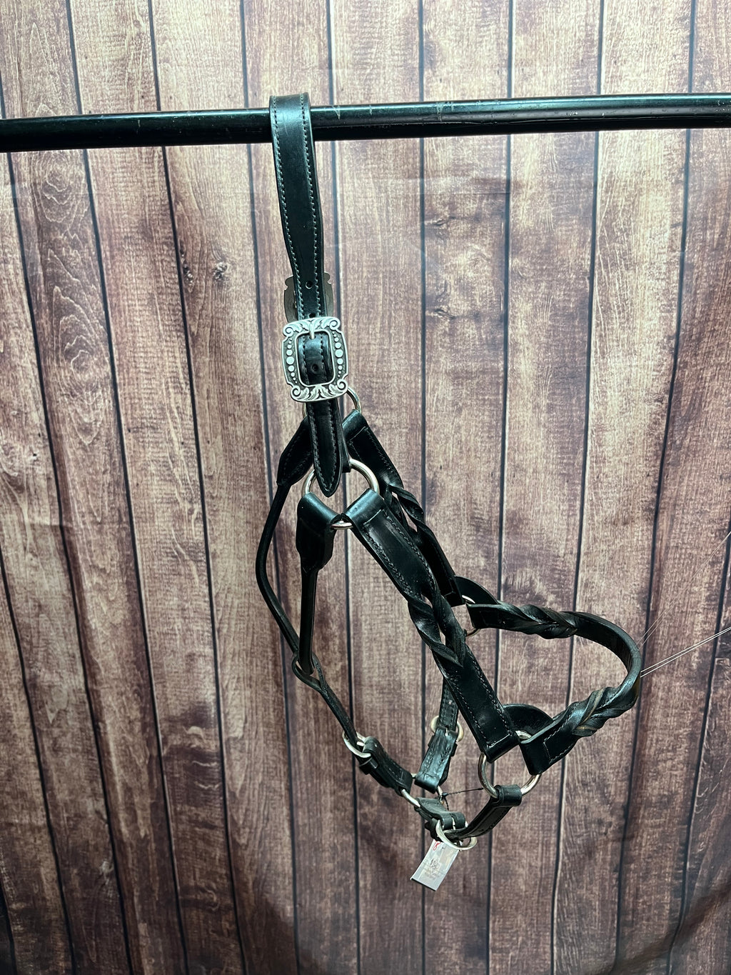 Twisted Halter #8 Horse