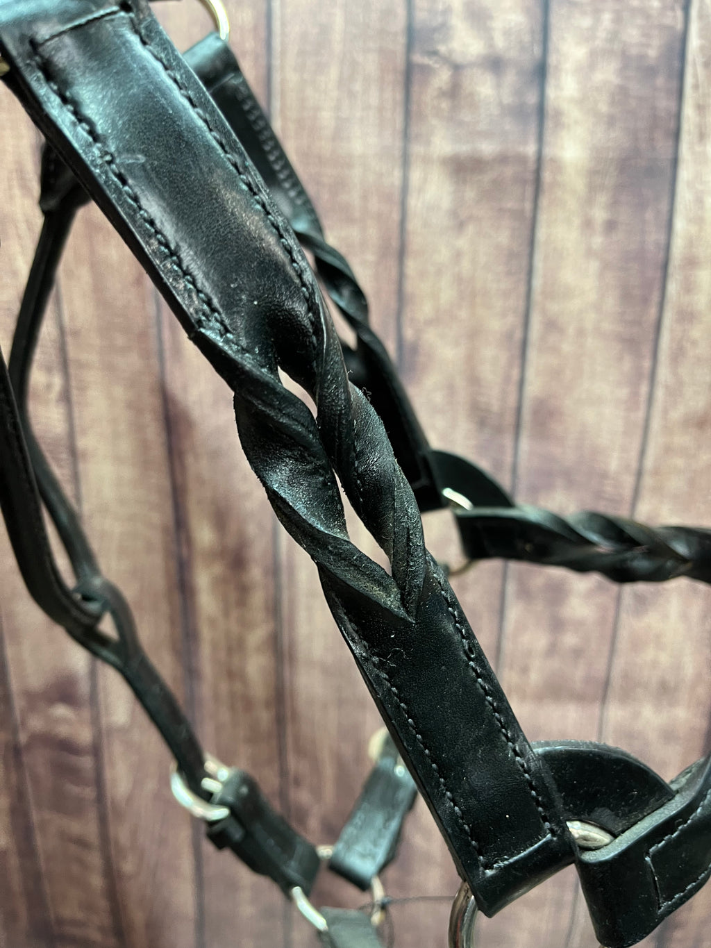 Twisted Halter #8 Horse