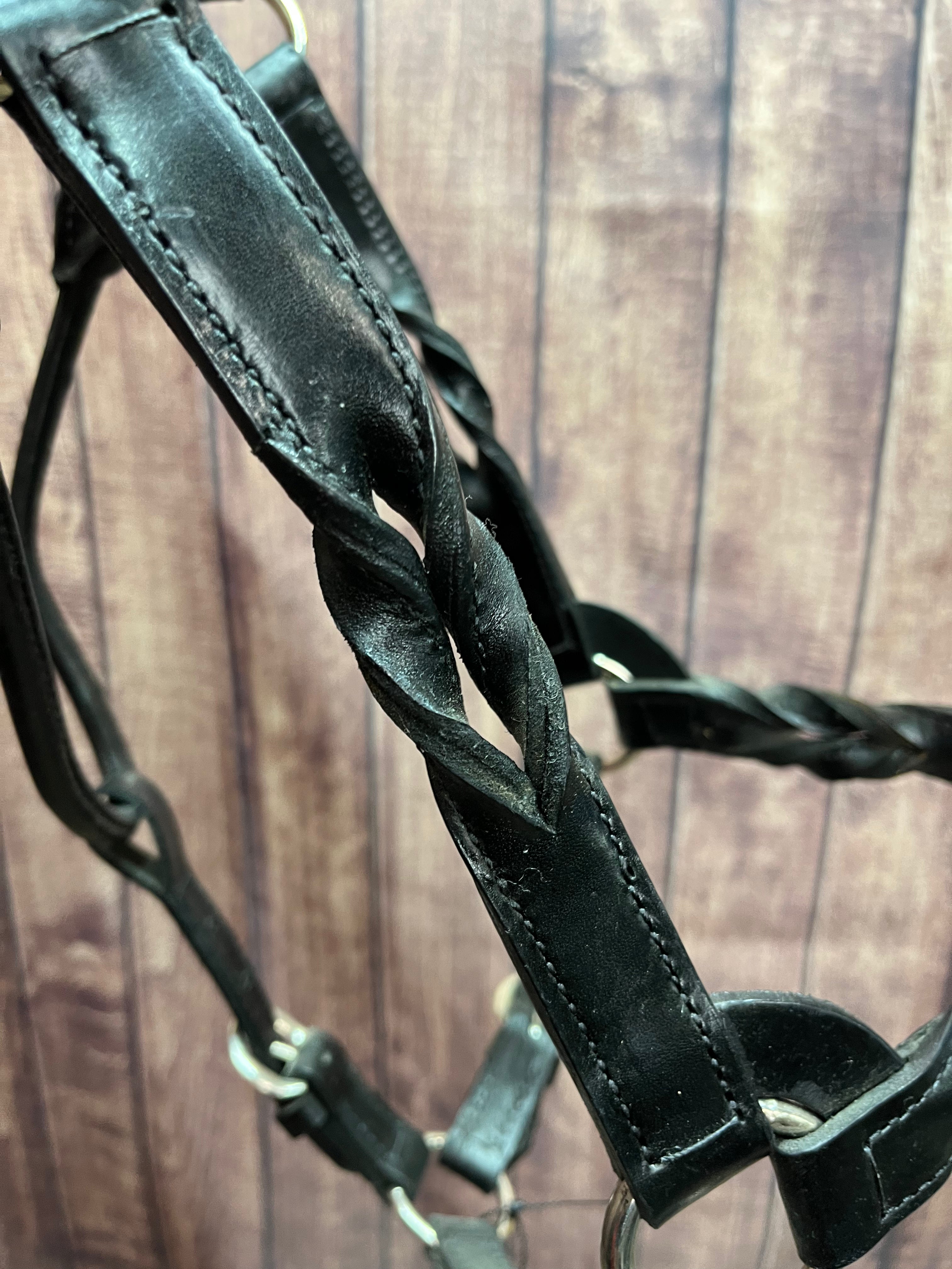 Twisted Halter #8 Horse