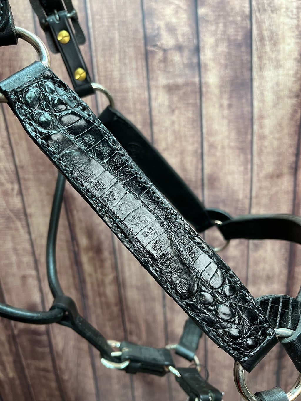Caiman Halter #10 Horse
