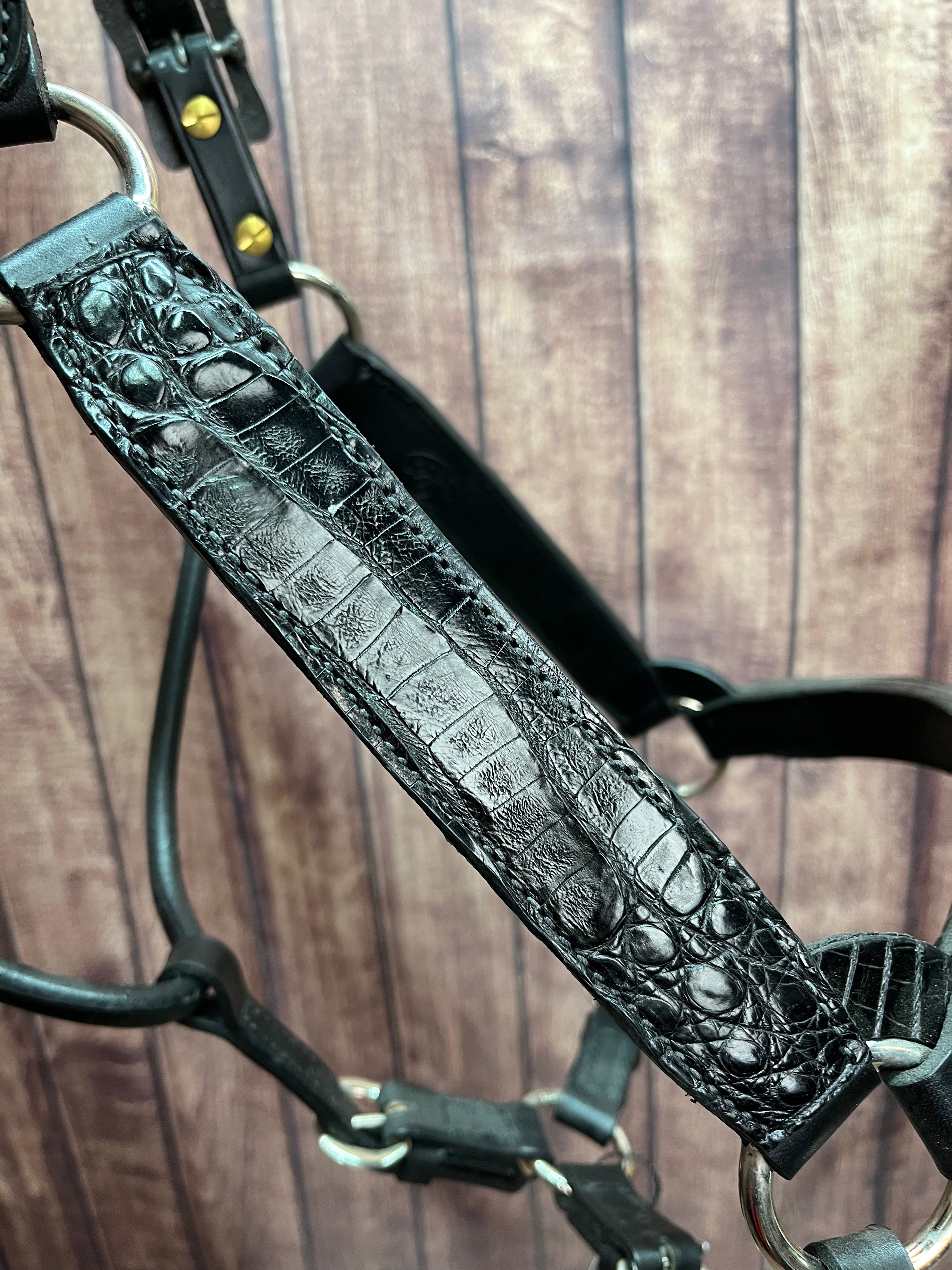 Caiman Halter #10 Horse
