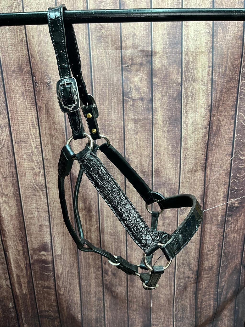 Caiman Halter #11 Horse